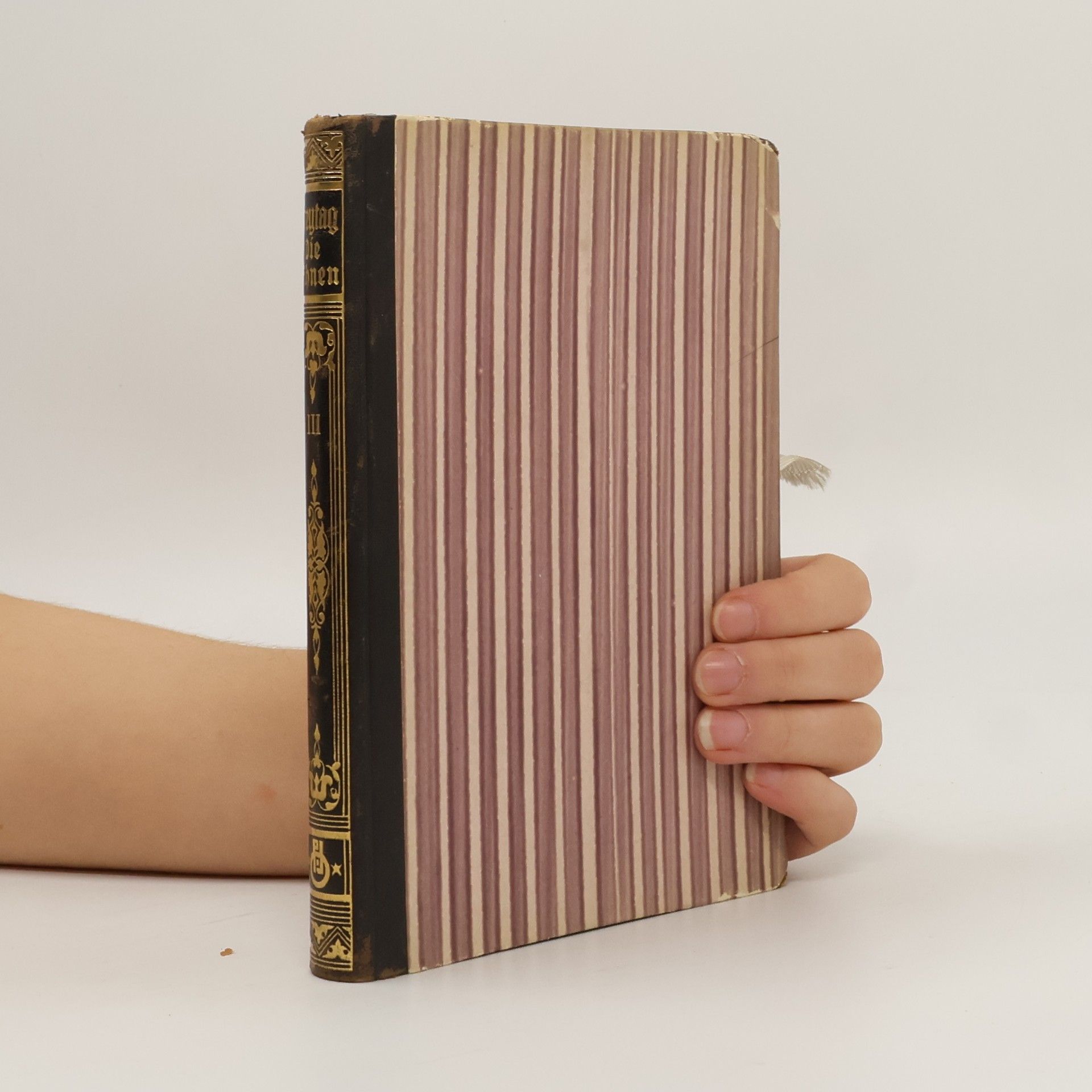 Gustav Freytag Die Ahnen. Band 3