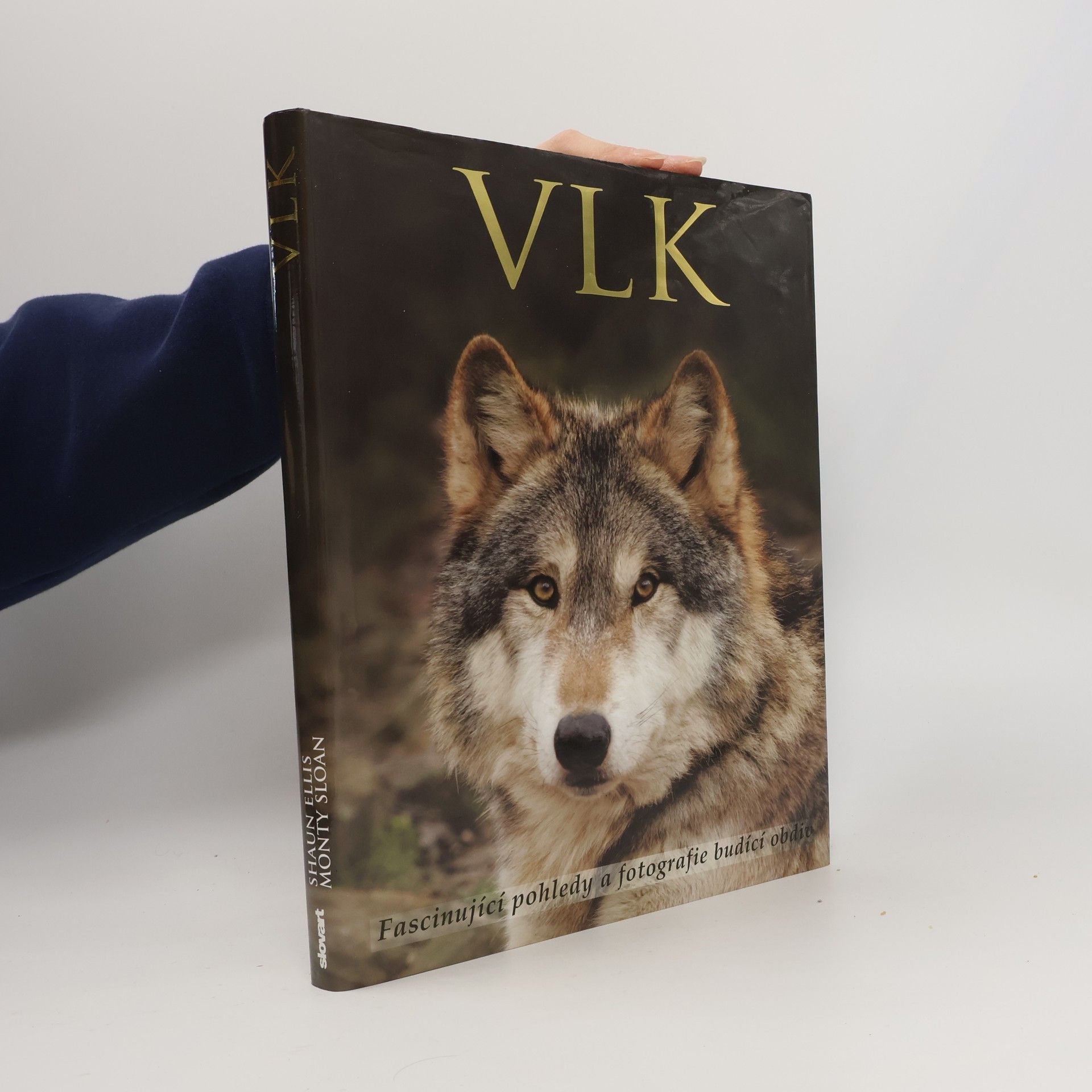 Shaun Ellis Vlk: Fascinující pohledy a fotografie budící obdiv