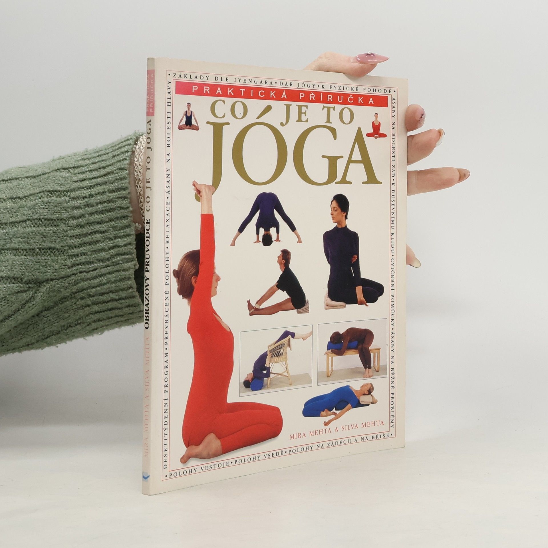 Silva Mehta Co je to jóga. Praktická příručka
