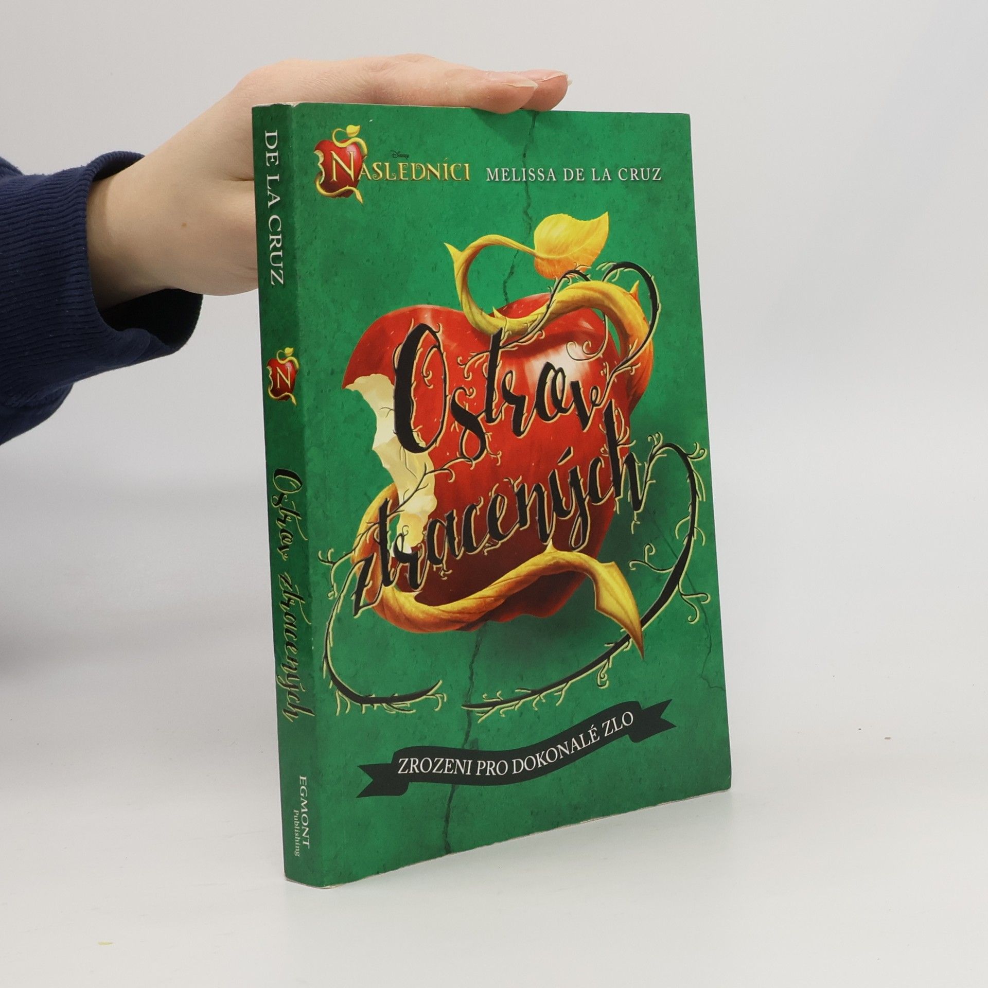 Následníci. Ostrov ztracených