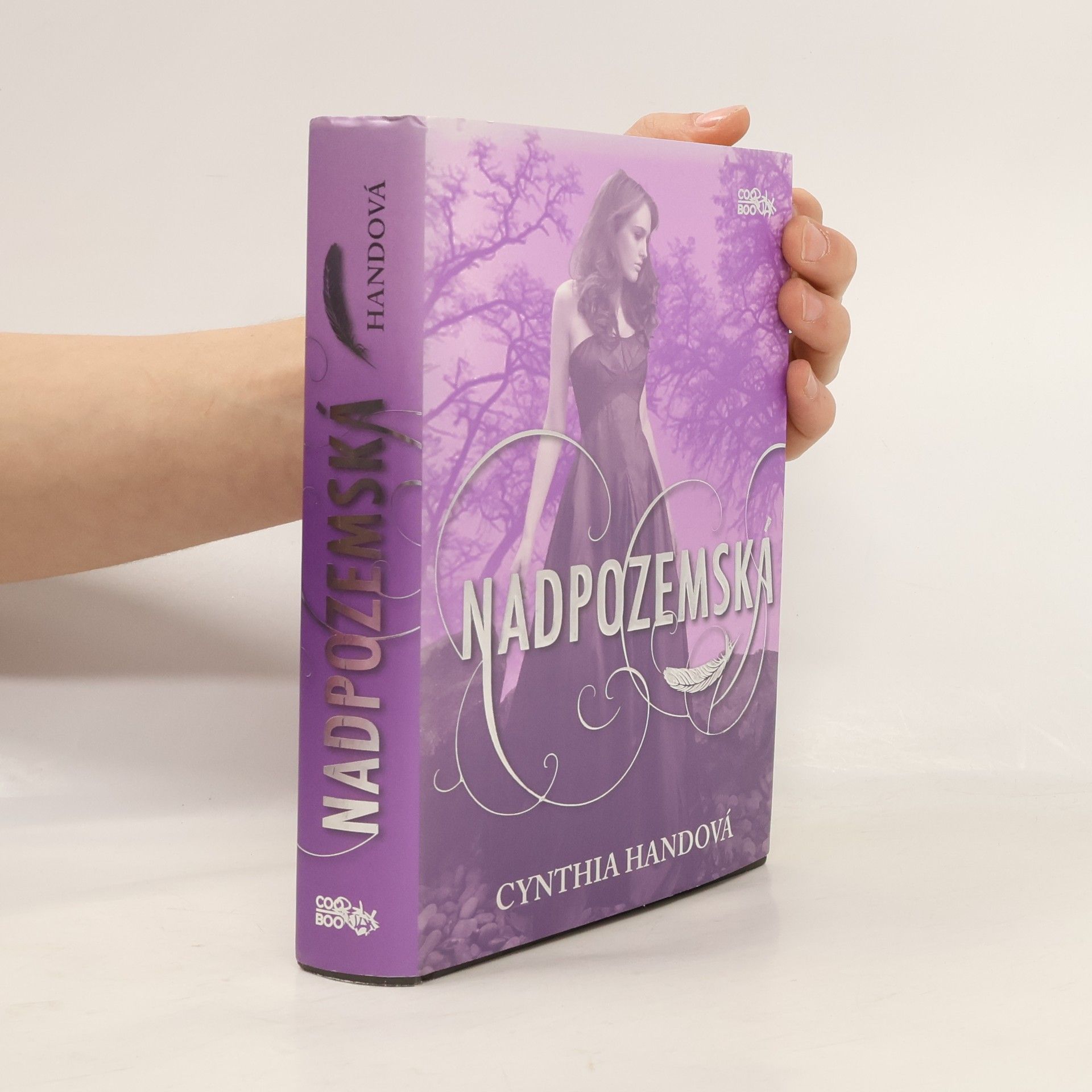 Cynthia Hand Nadpozemská. První díl