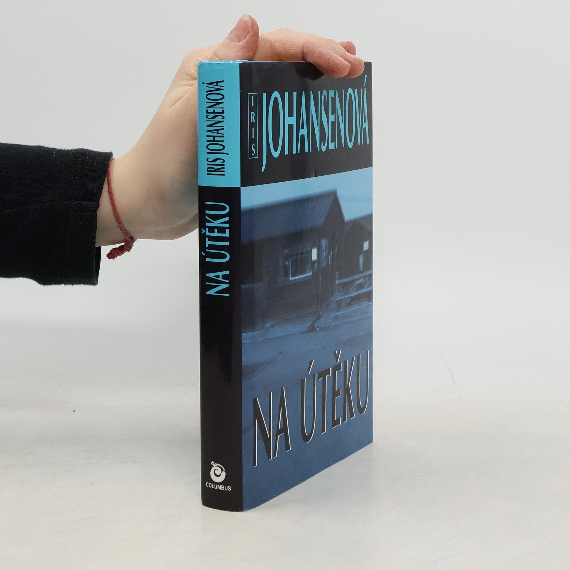 Iris Johansen Na útěku