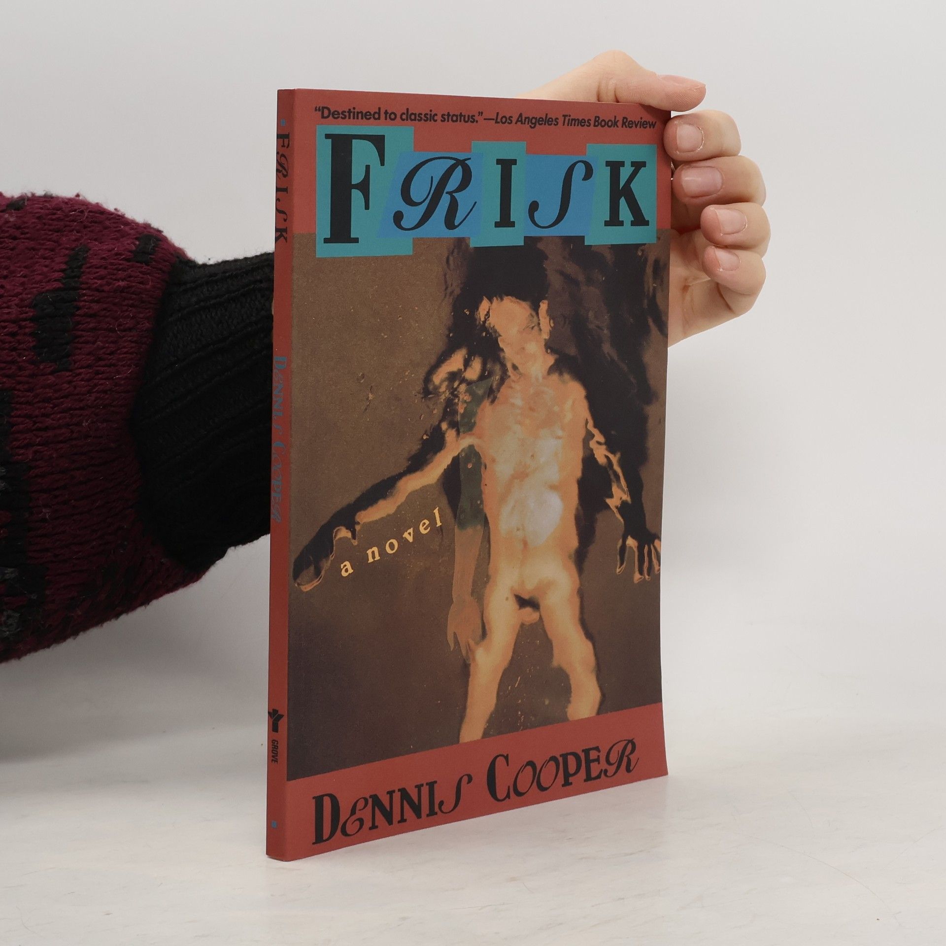 Dennis Cooper Frisk
