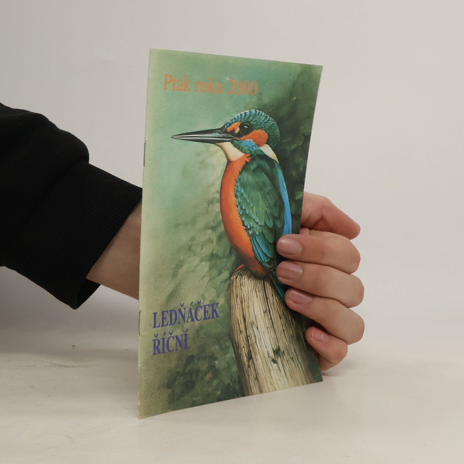 Pavel Čech Ledňáček říční. Pták roku 2000