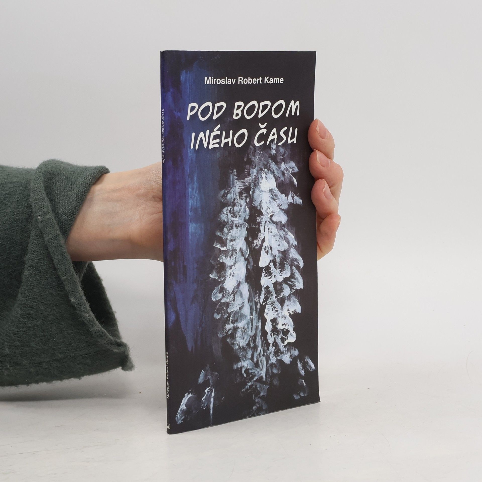 Miroslav Robert Kame Pod bodom iného času