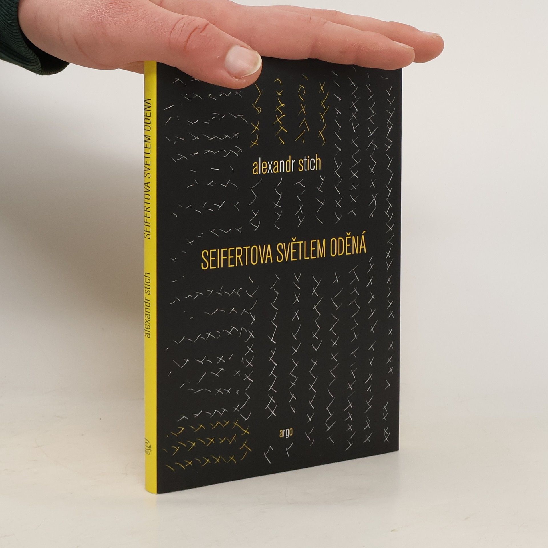 Alexandr Stich Seifertova světlem oděná