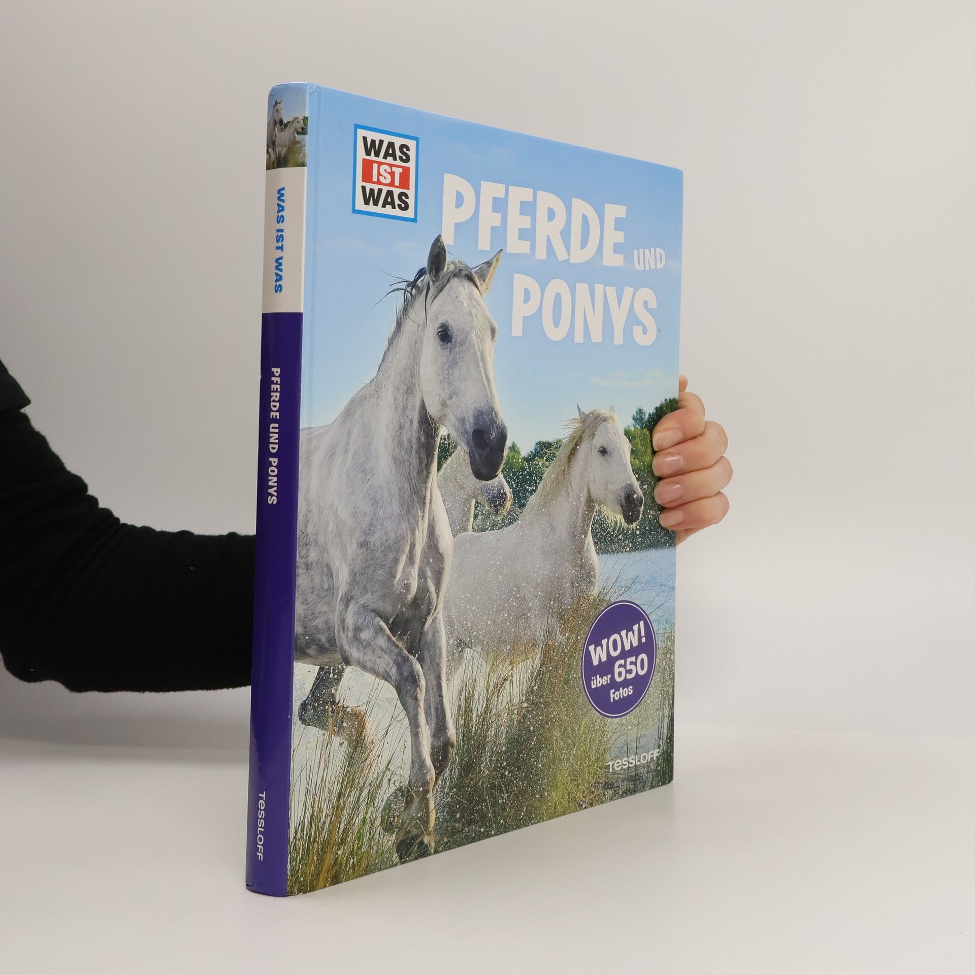 Pferde und Ponys