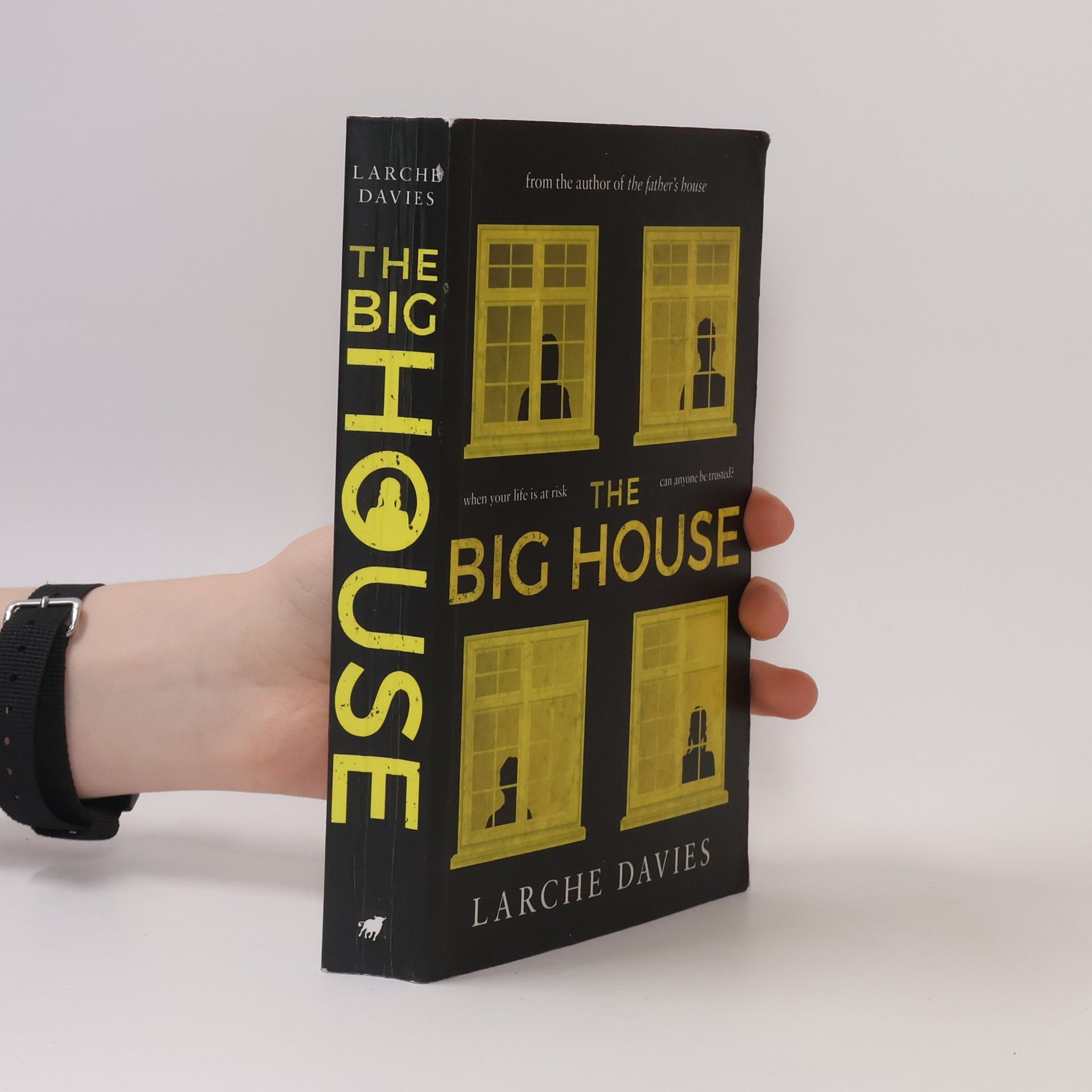 Larche Davies The Big House