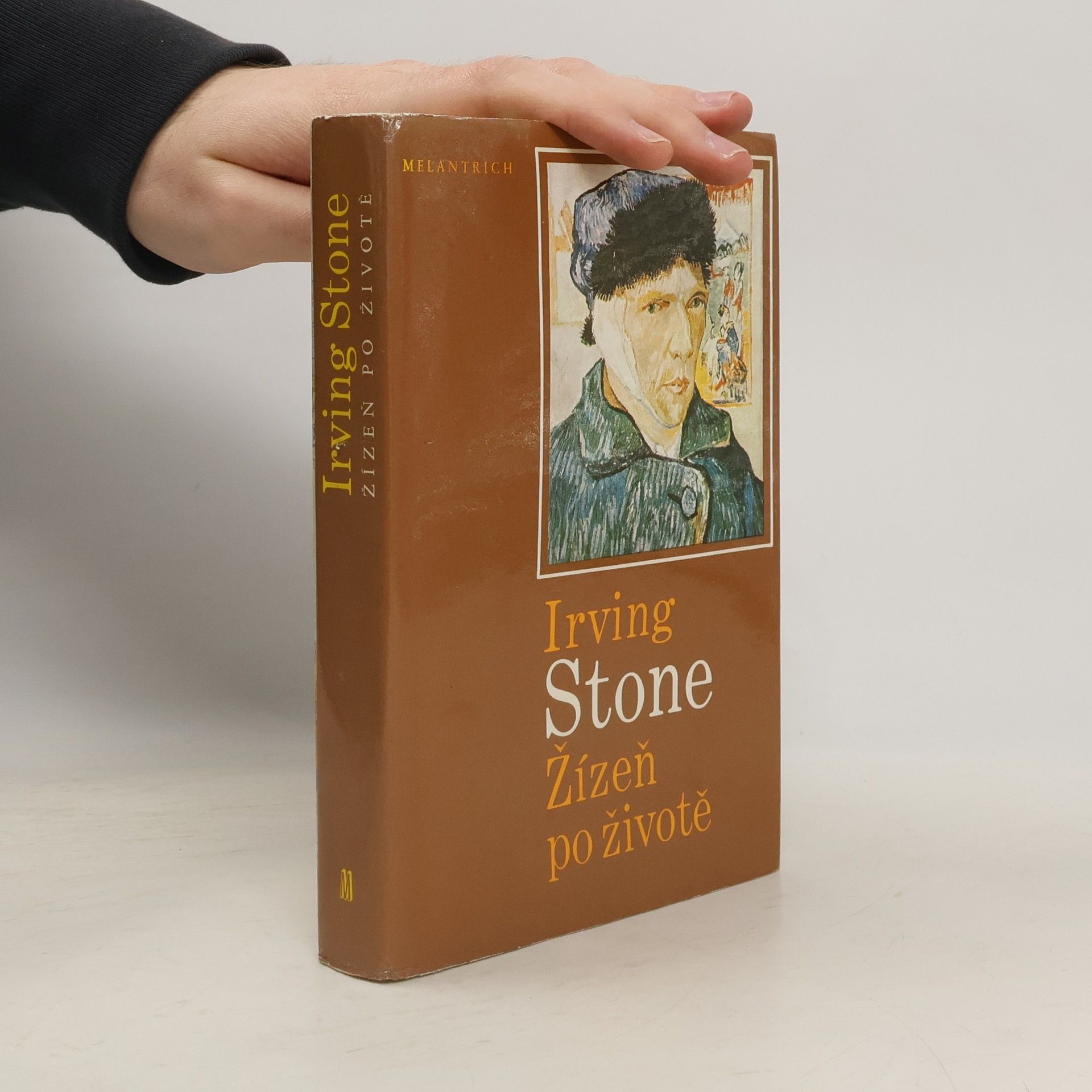 Irving Stone Žízeň po životě