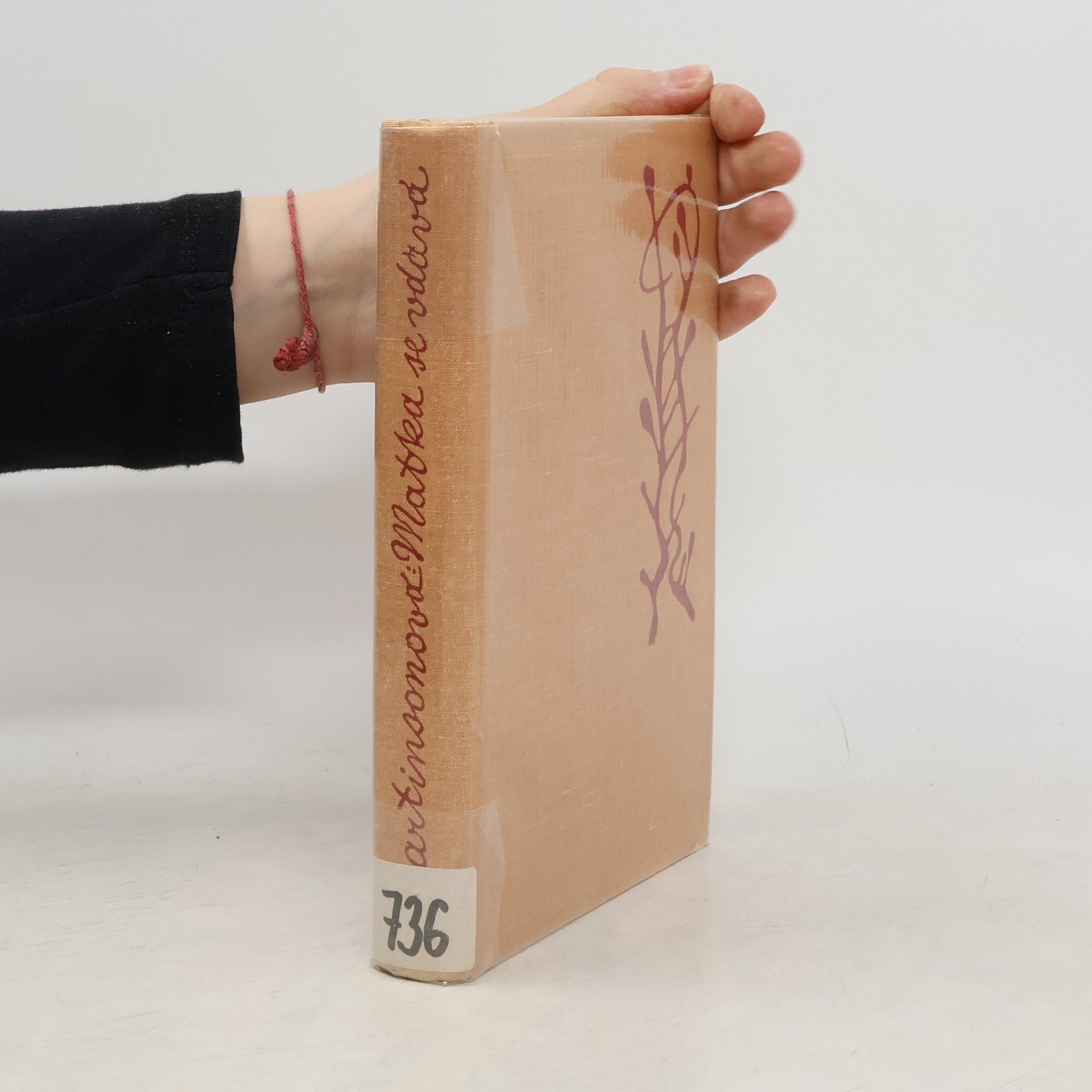 Moa Martinson Matka se vdává