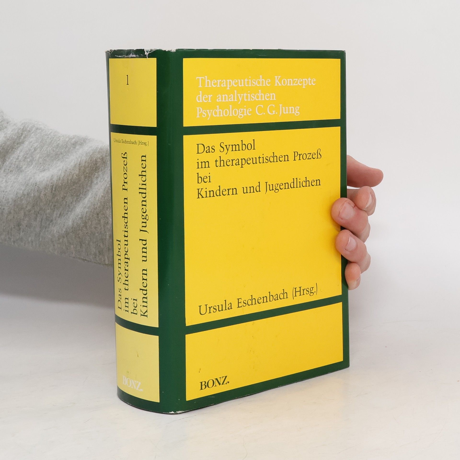 Therapeutische Konzepte der analytischen Psychologie C. G. Jungs - 1: Das Symbol im therapeutischen Prozess bei Kindern und Jugendlichen
