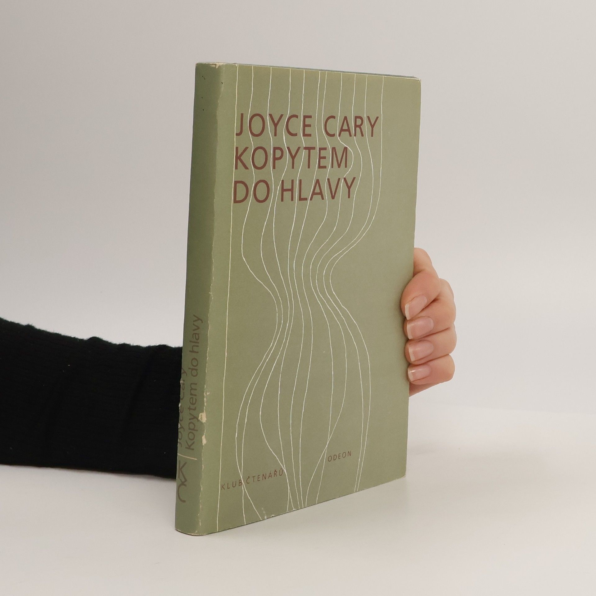 Joyce Cary Kopytem do hlavy