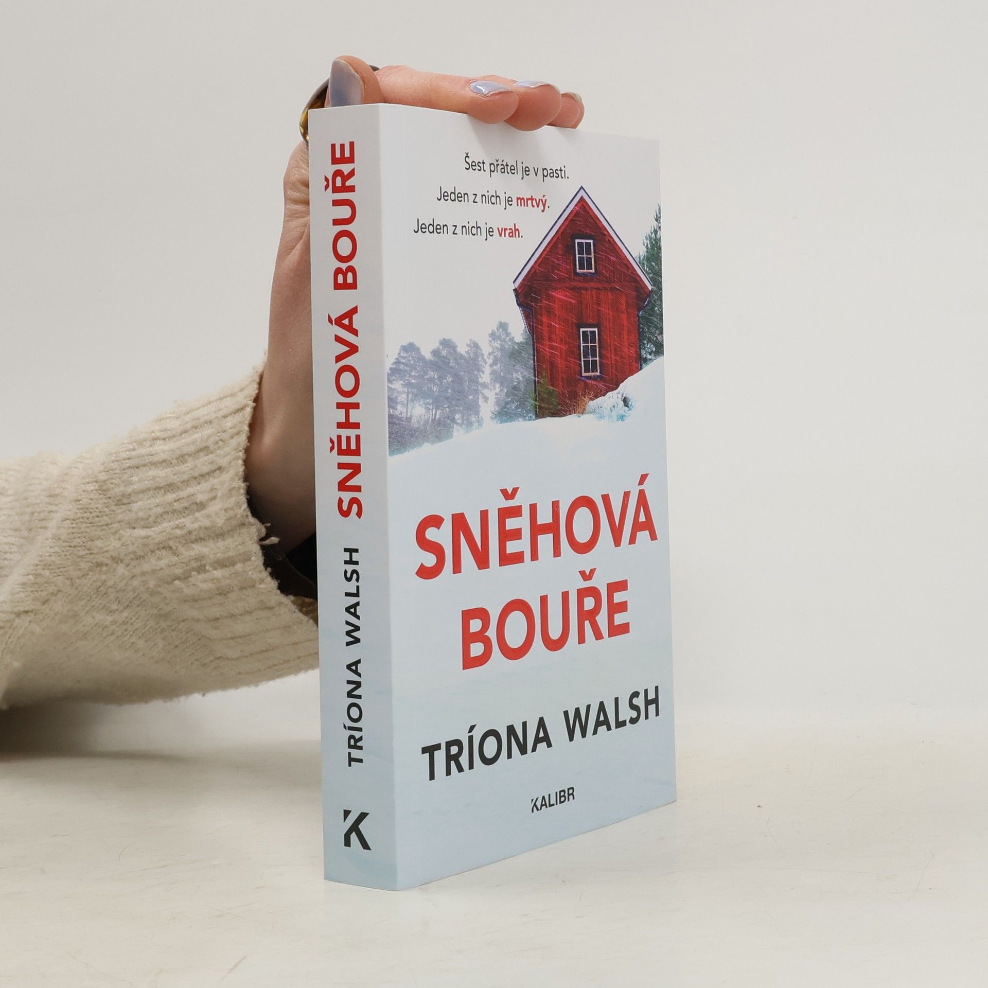 Tríona Walsh Sněhová bouře