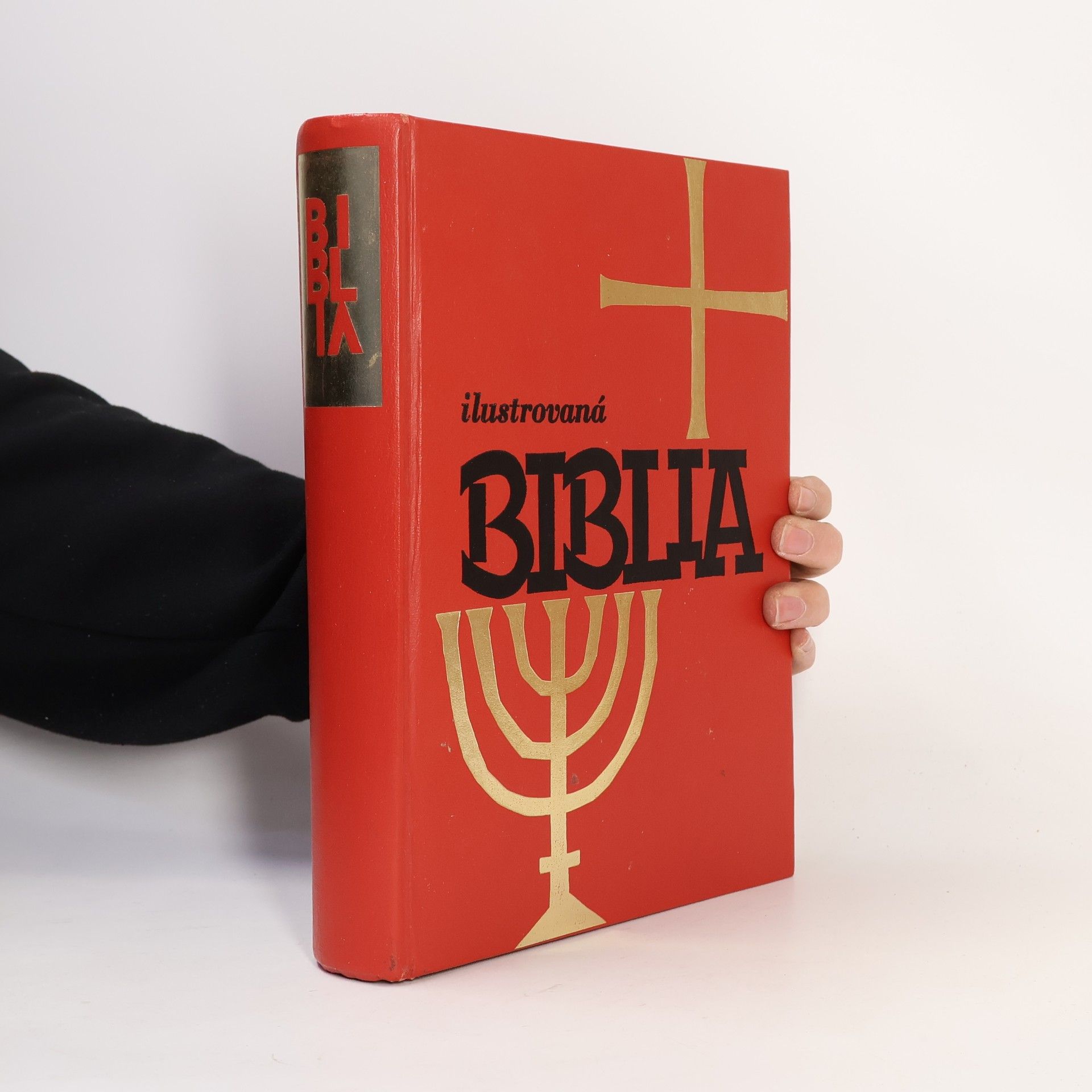 Ilustrovaná Biblia