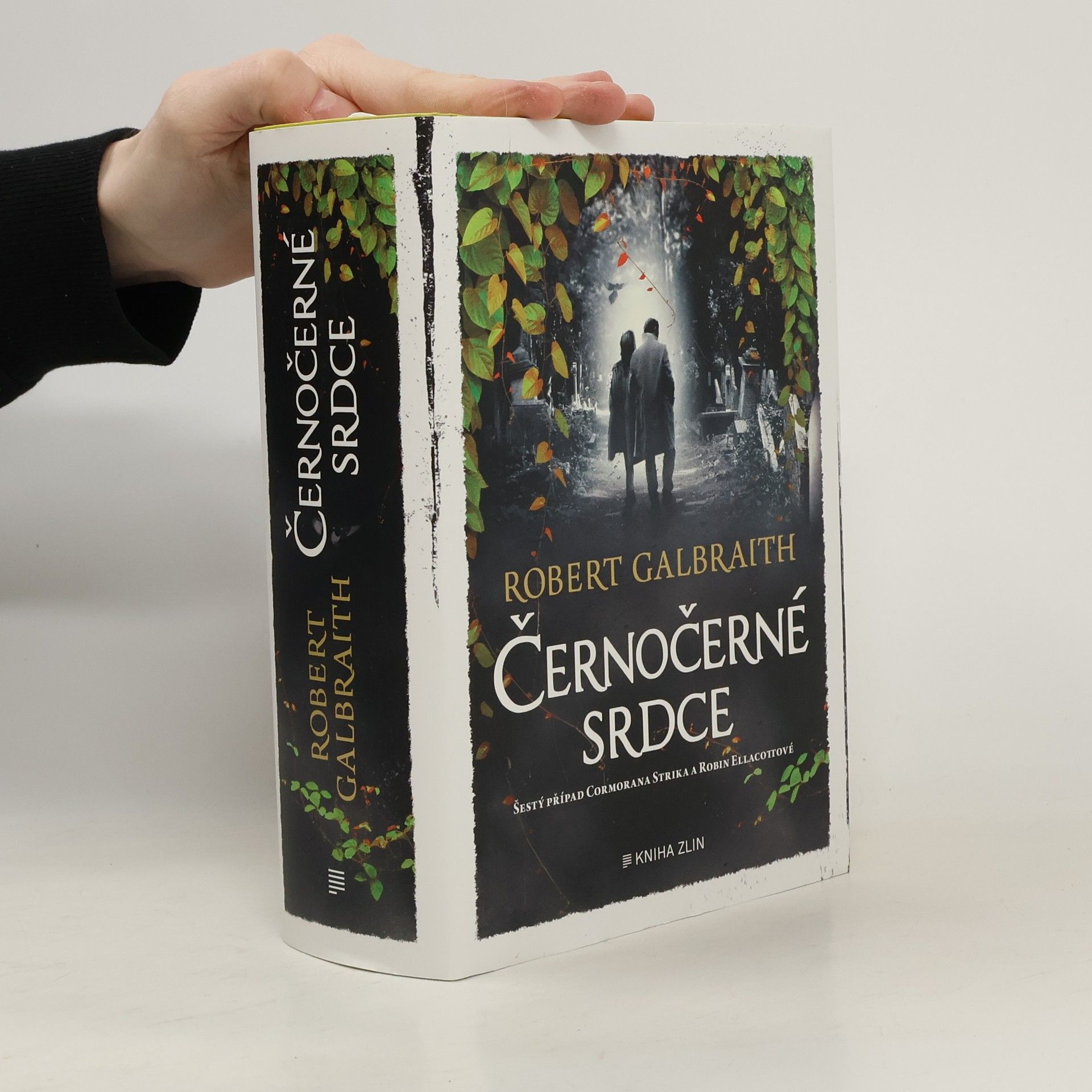 Robert Galbraith Černočerné srdce