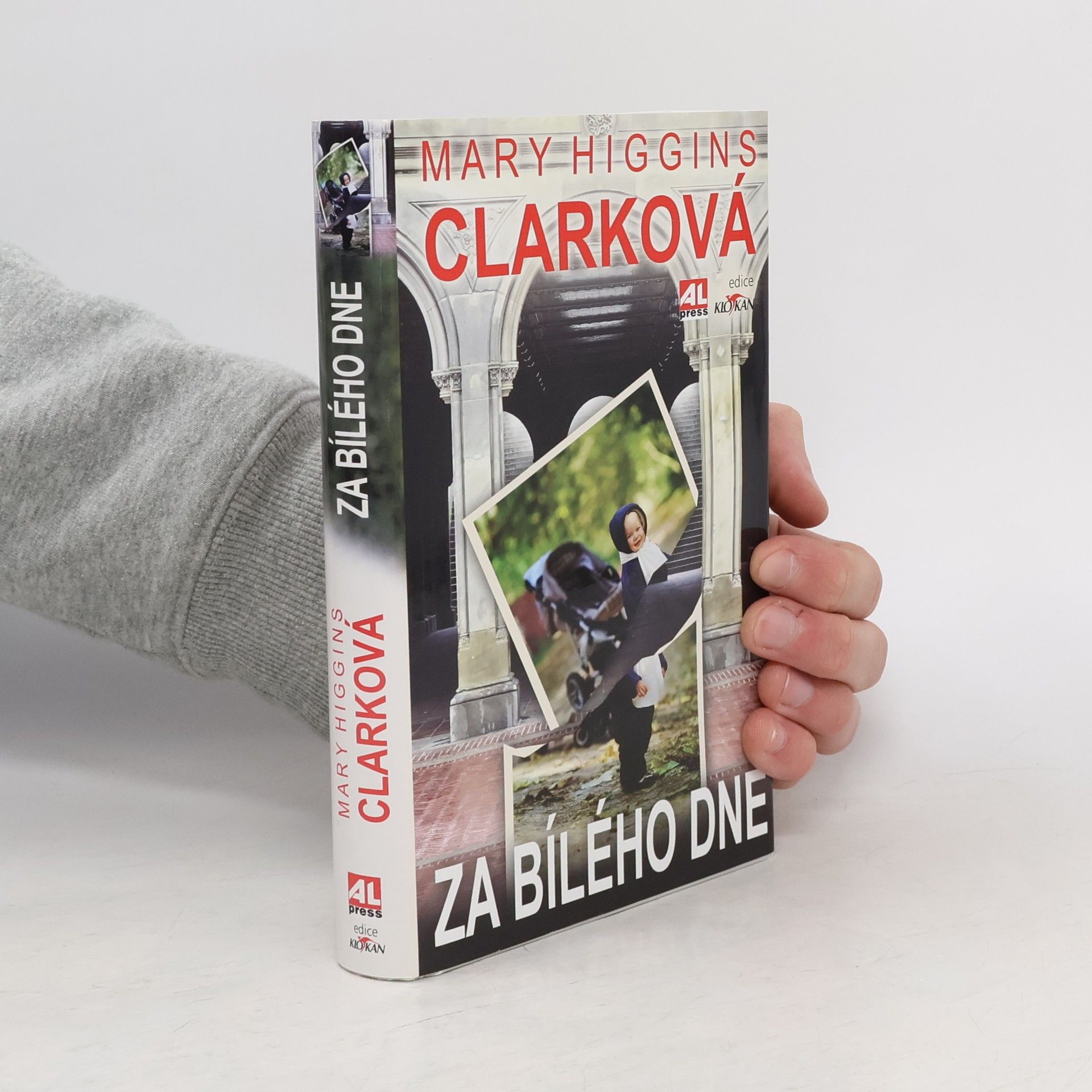 Mary Higginsová Clarková Za bílého dne