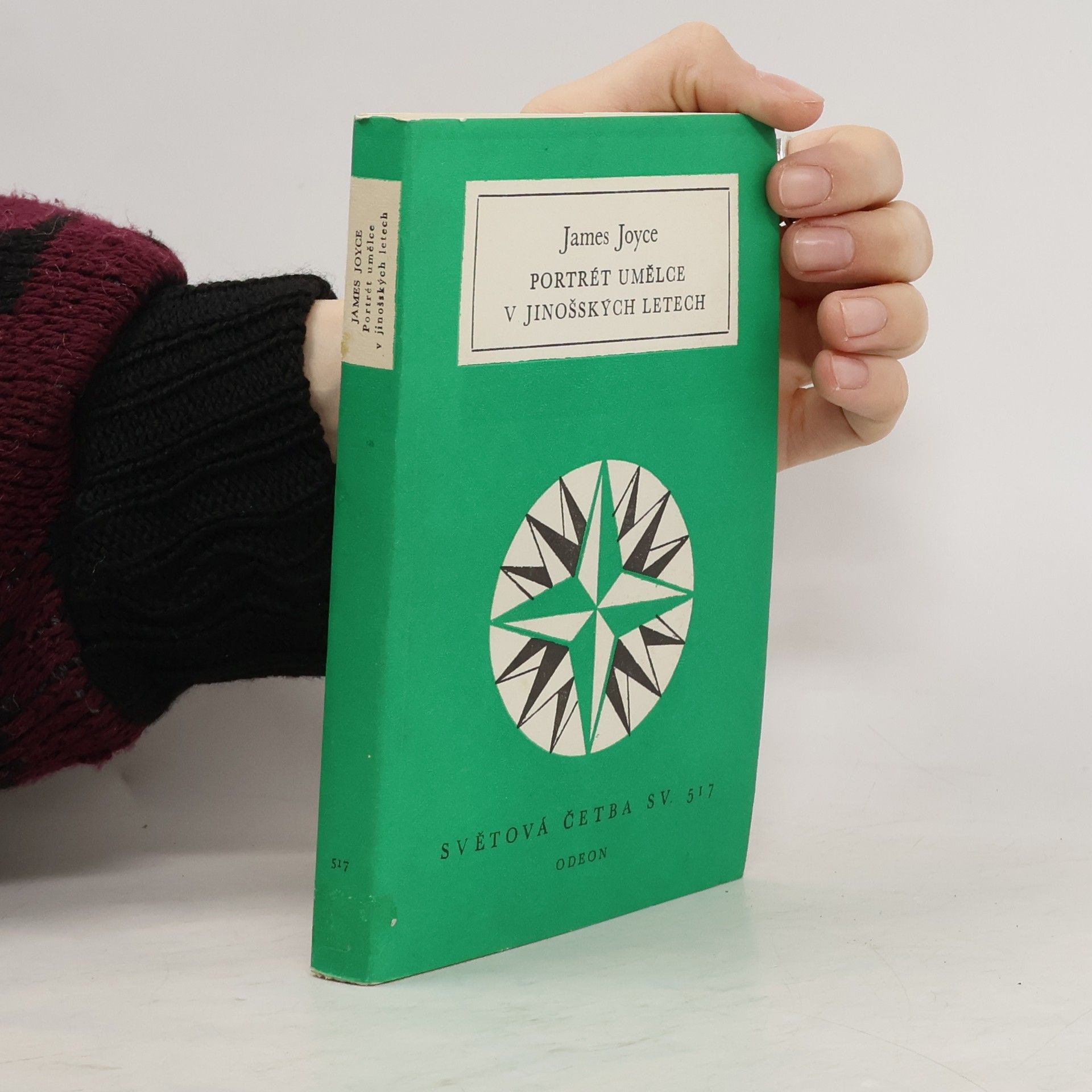 James Joyce Portrét umělce v jinošských letech