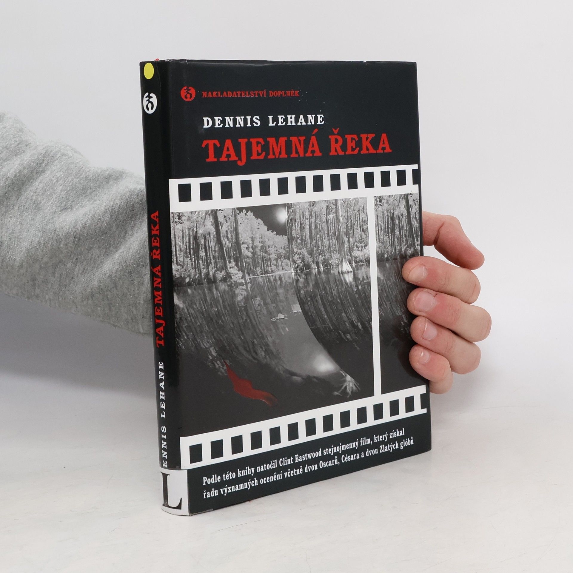 Dennis Lehane Tajemná řeka