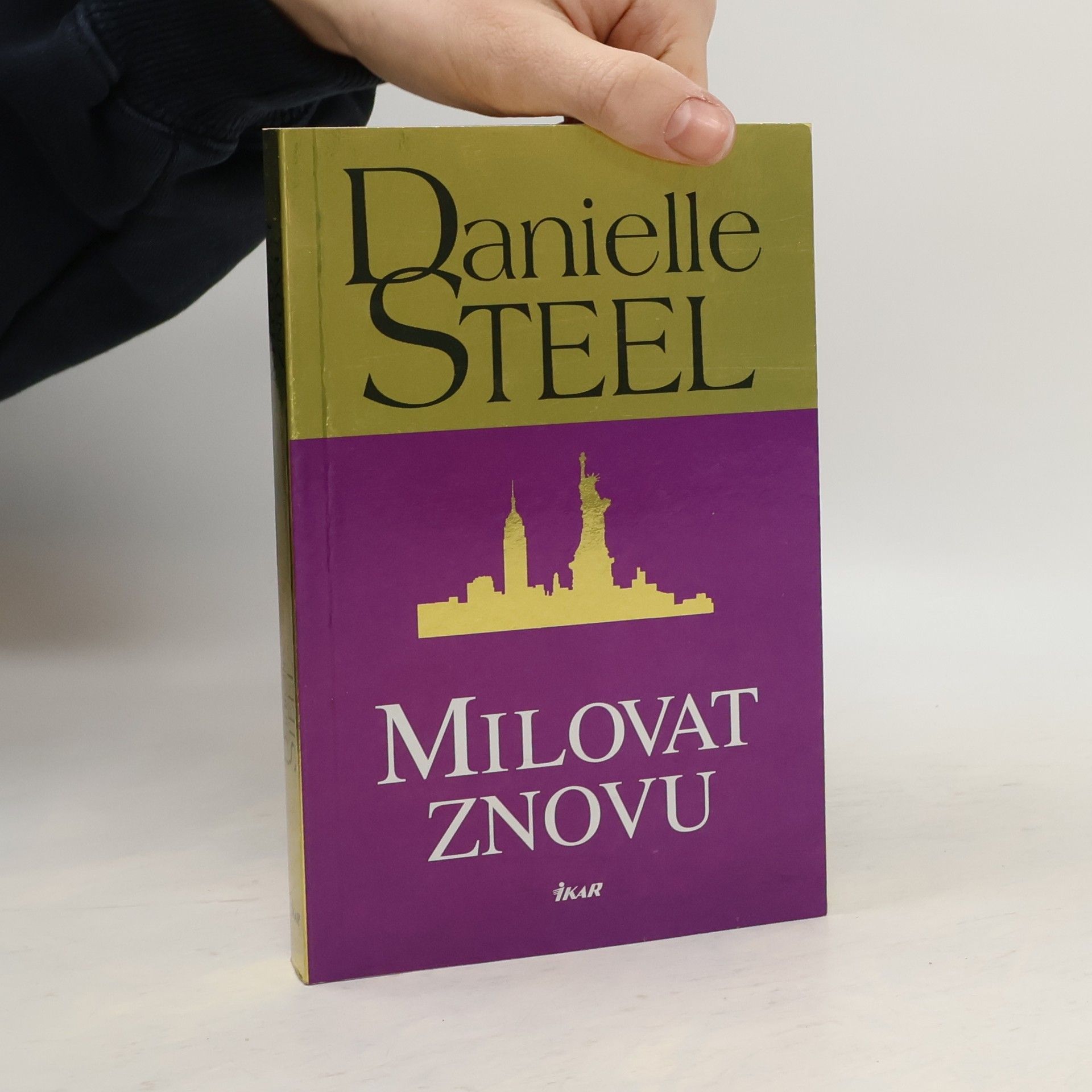 Danielle Steel Milovat znovu