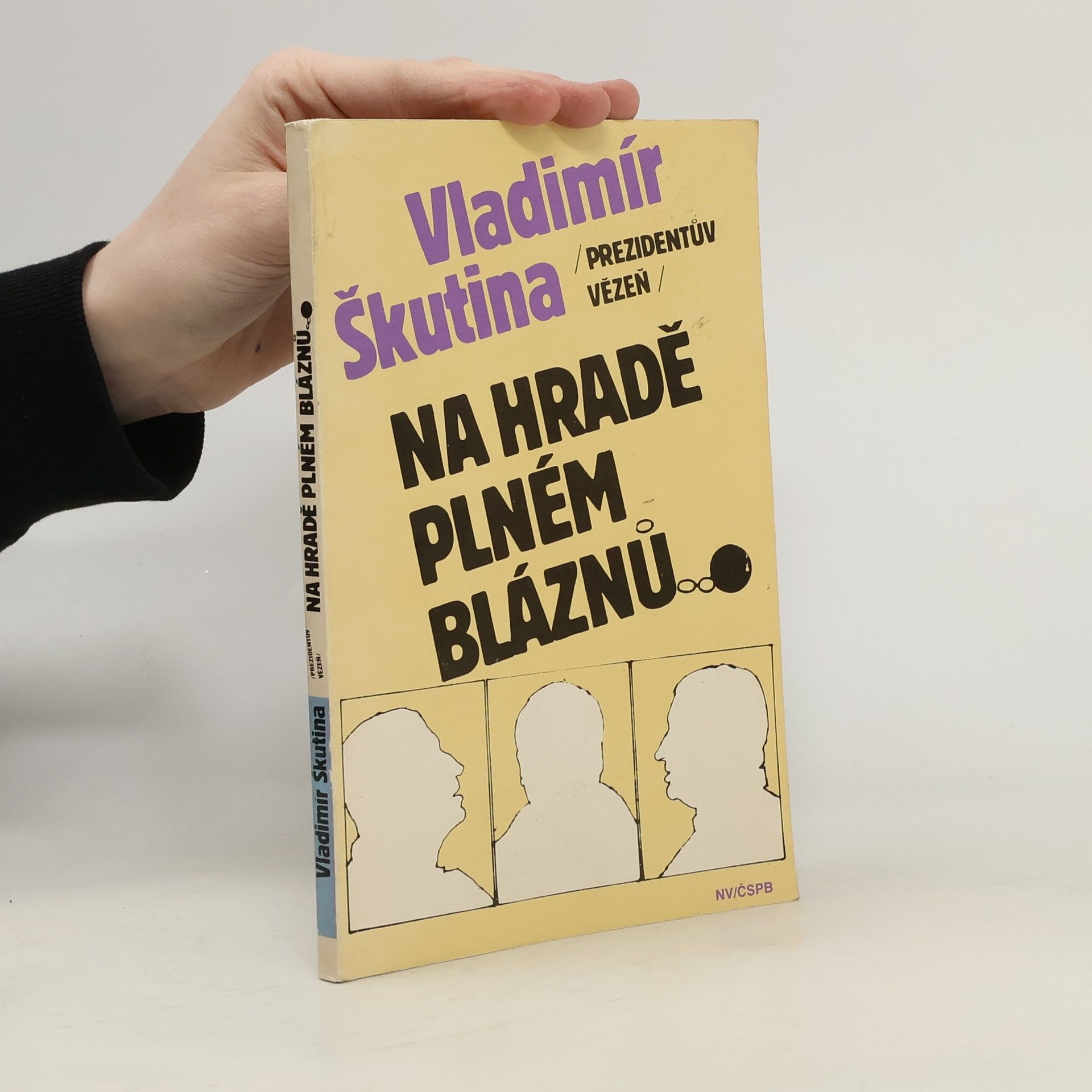 Vladimír Škutina Na hradě plném bláznů