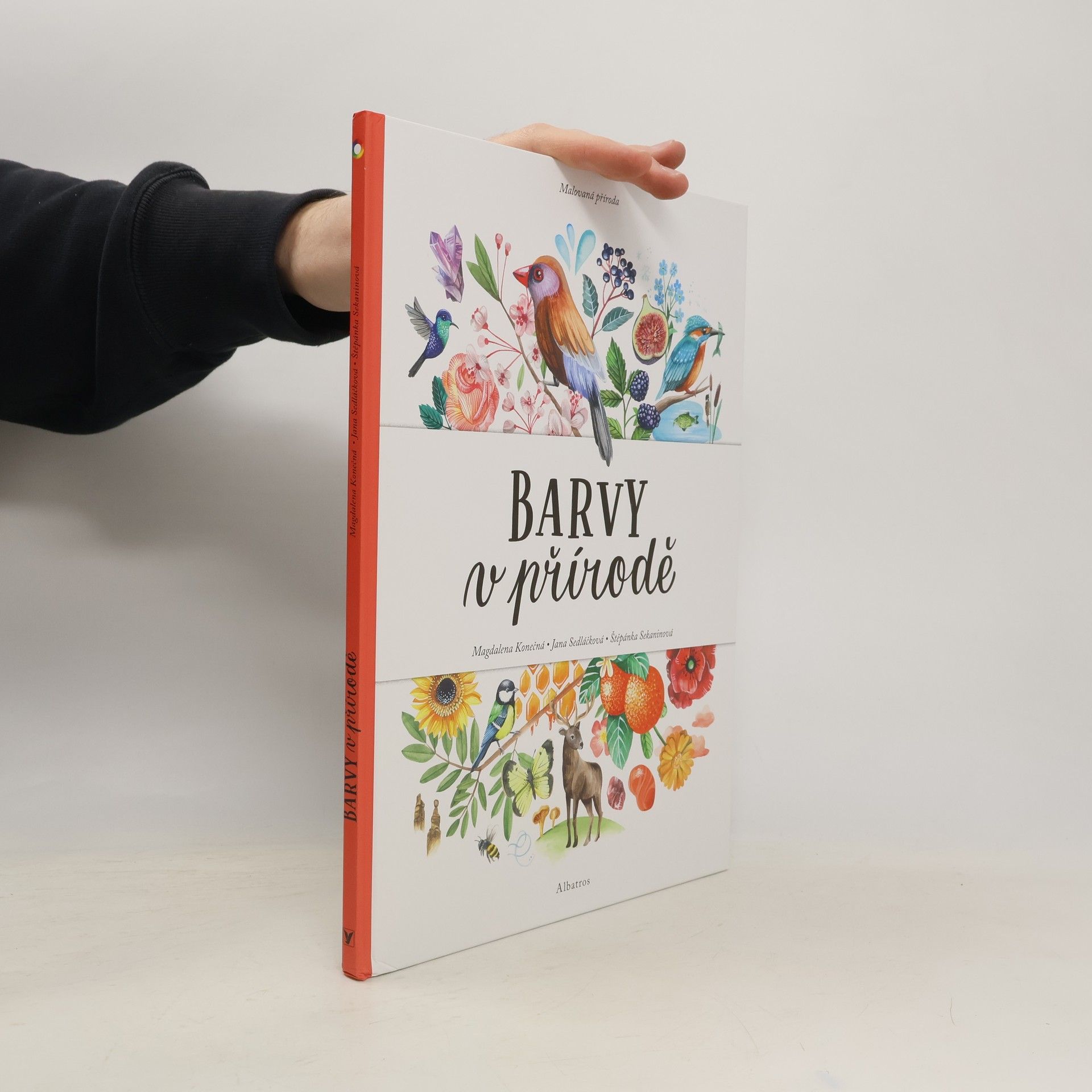Magdalena Konečná Barvy v přírodě