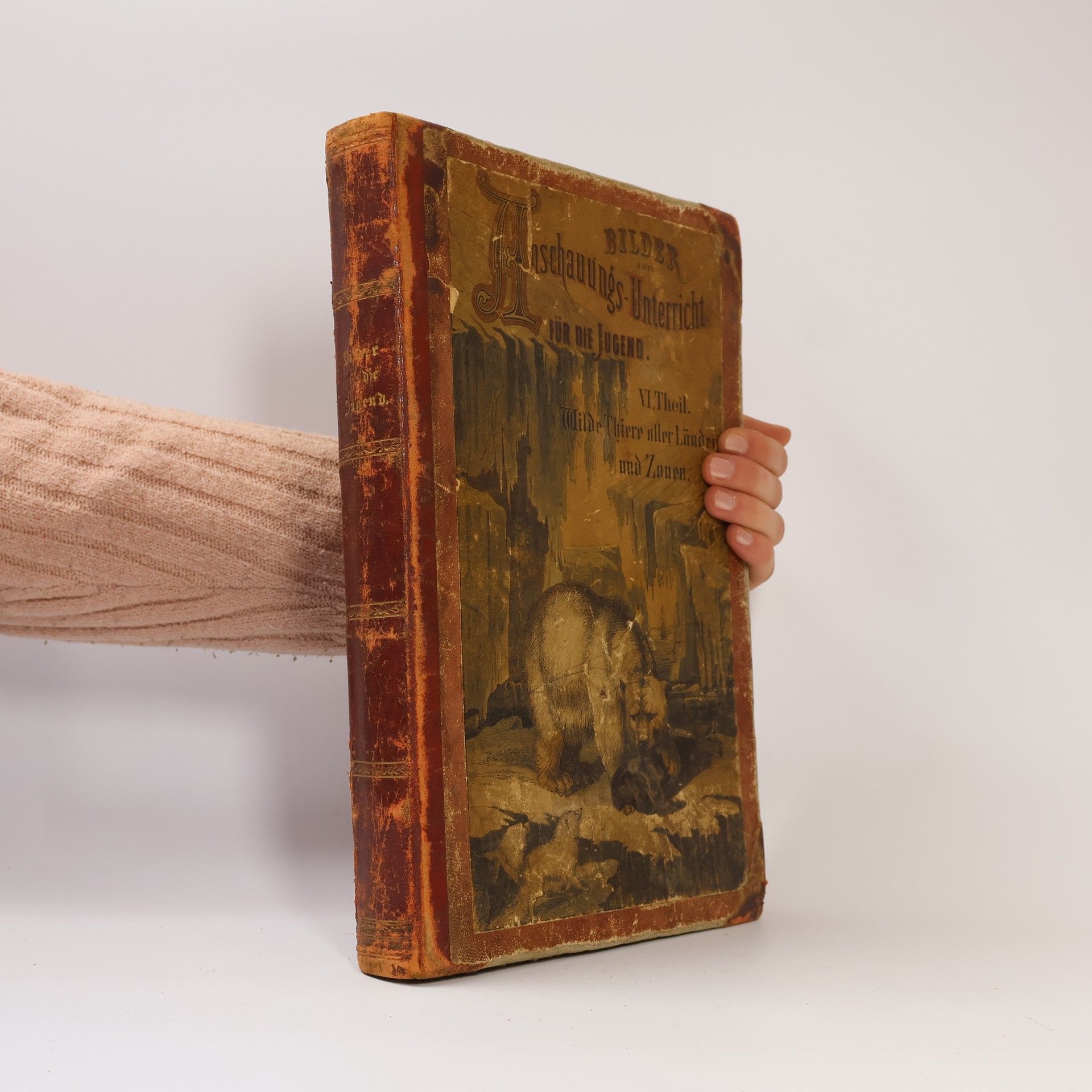 Various authors Bilder zum Anschauungs-Unterricht für die Jugend