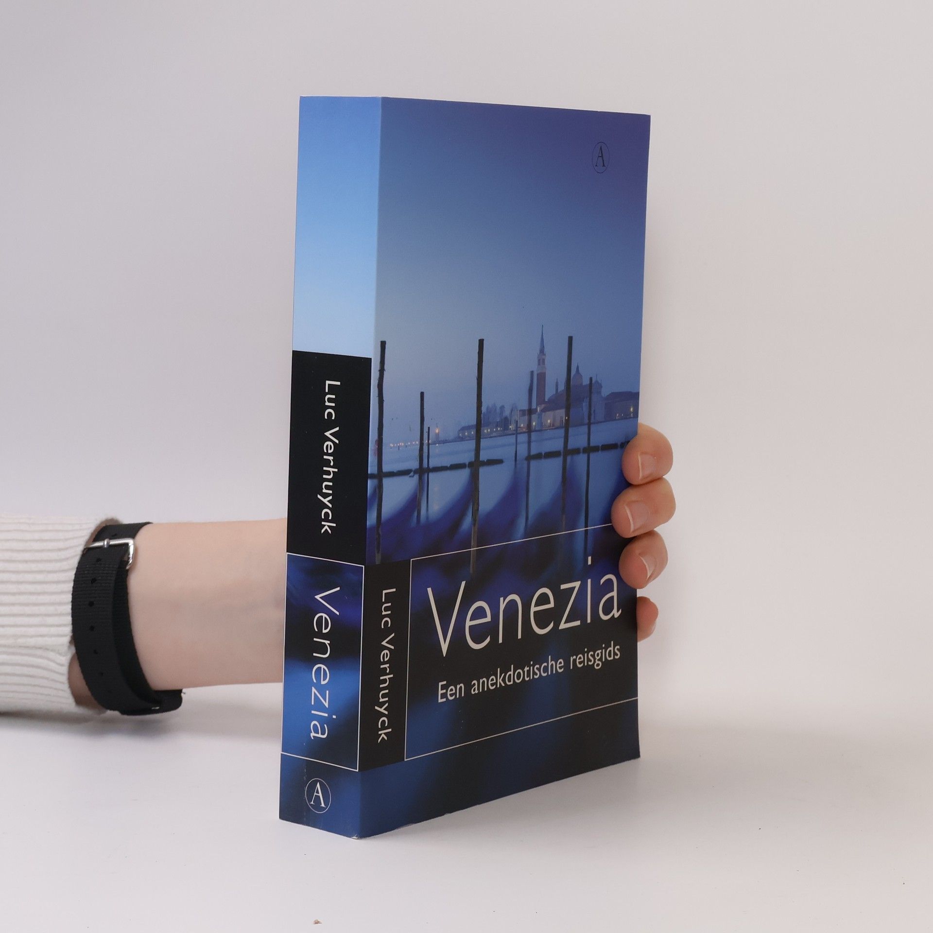 Luc Verhuyck Venezia