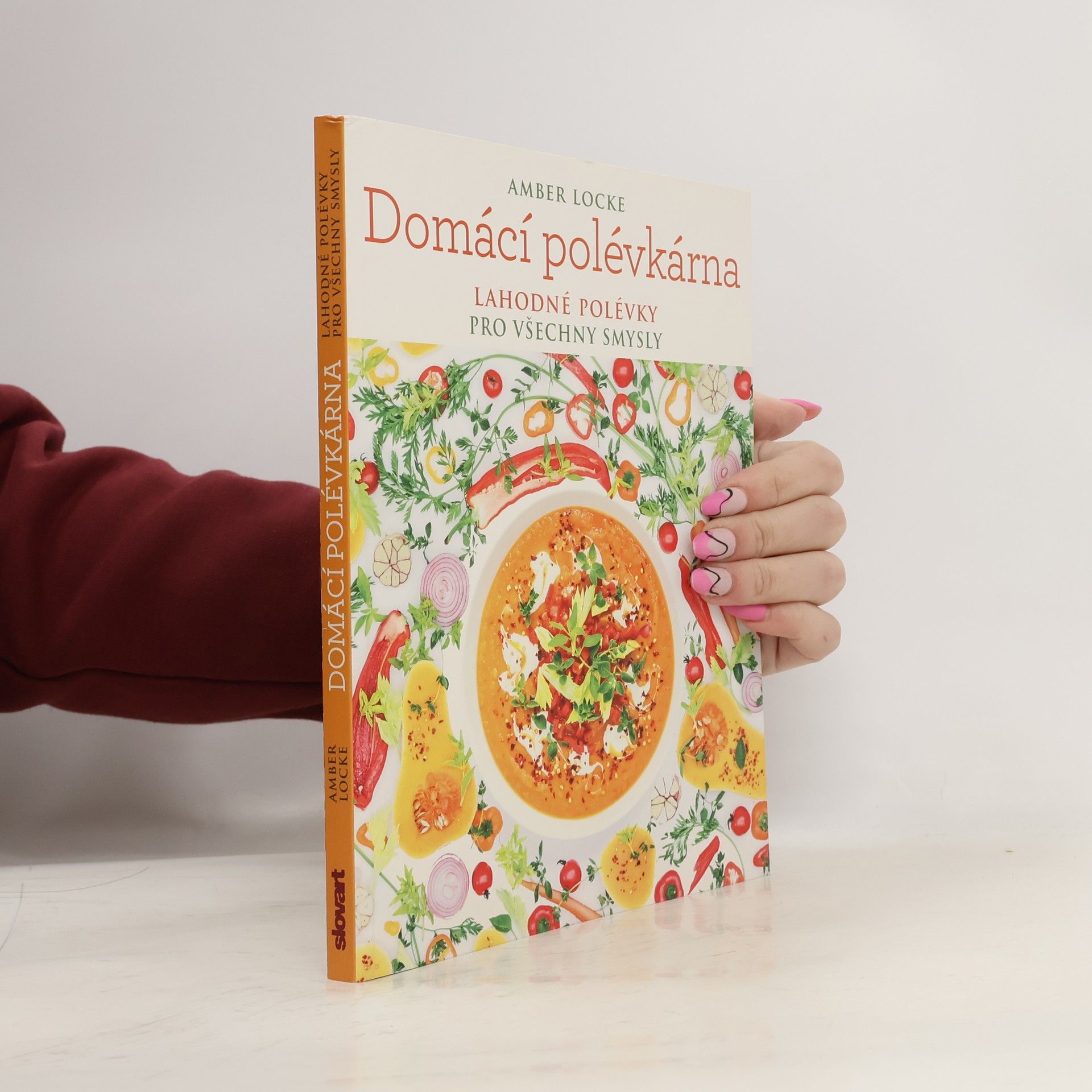 Amber Locke Domácí polévkárna - Lahodné polévky pro všechny smysly