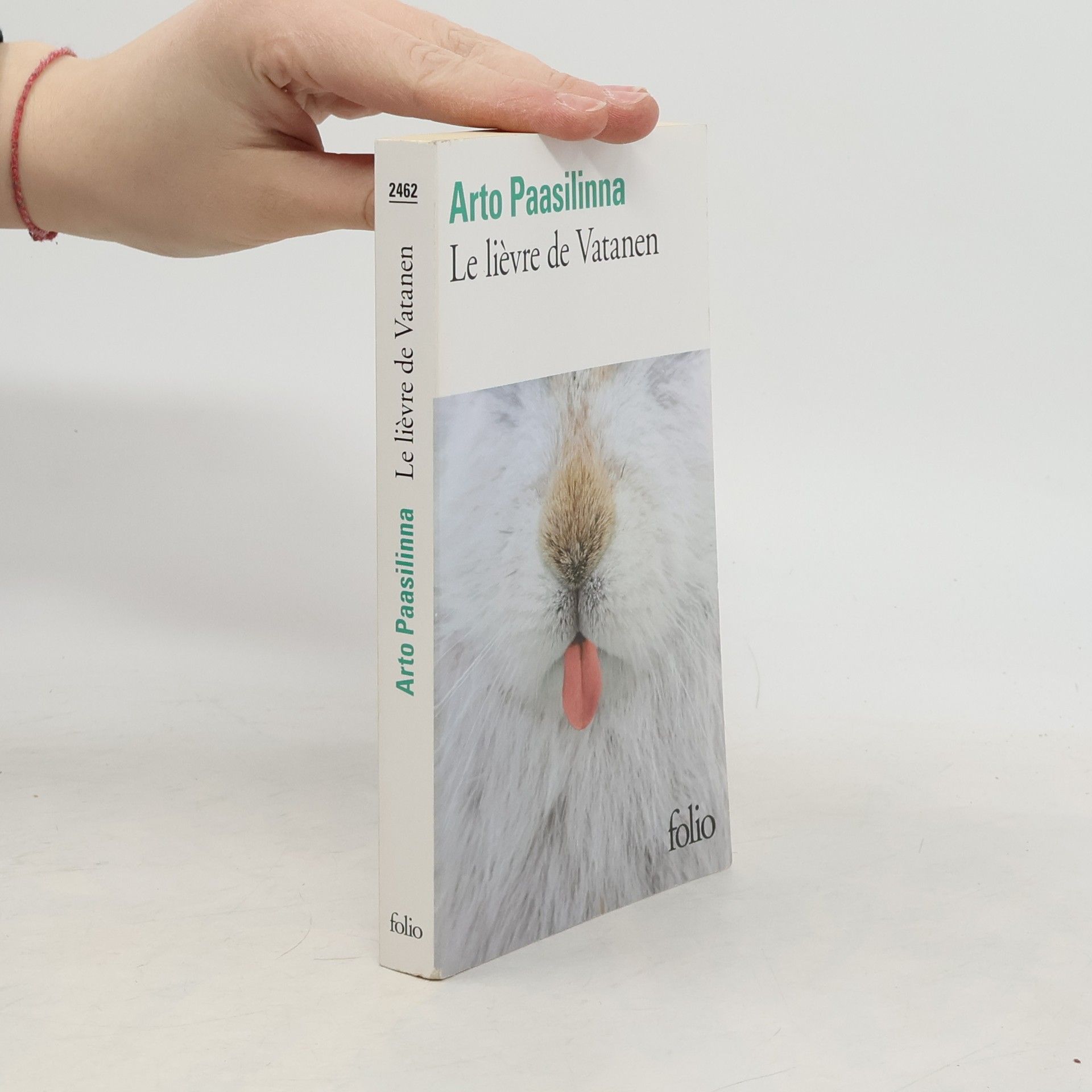 Arto Paasilinna Le Lièvre de Vatanen