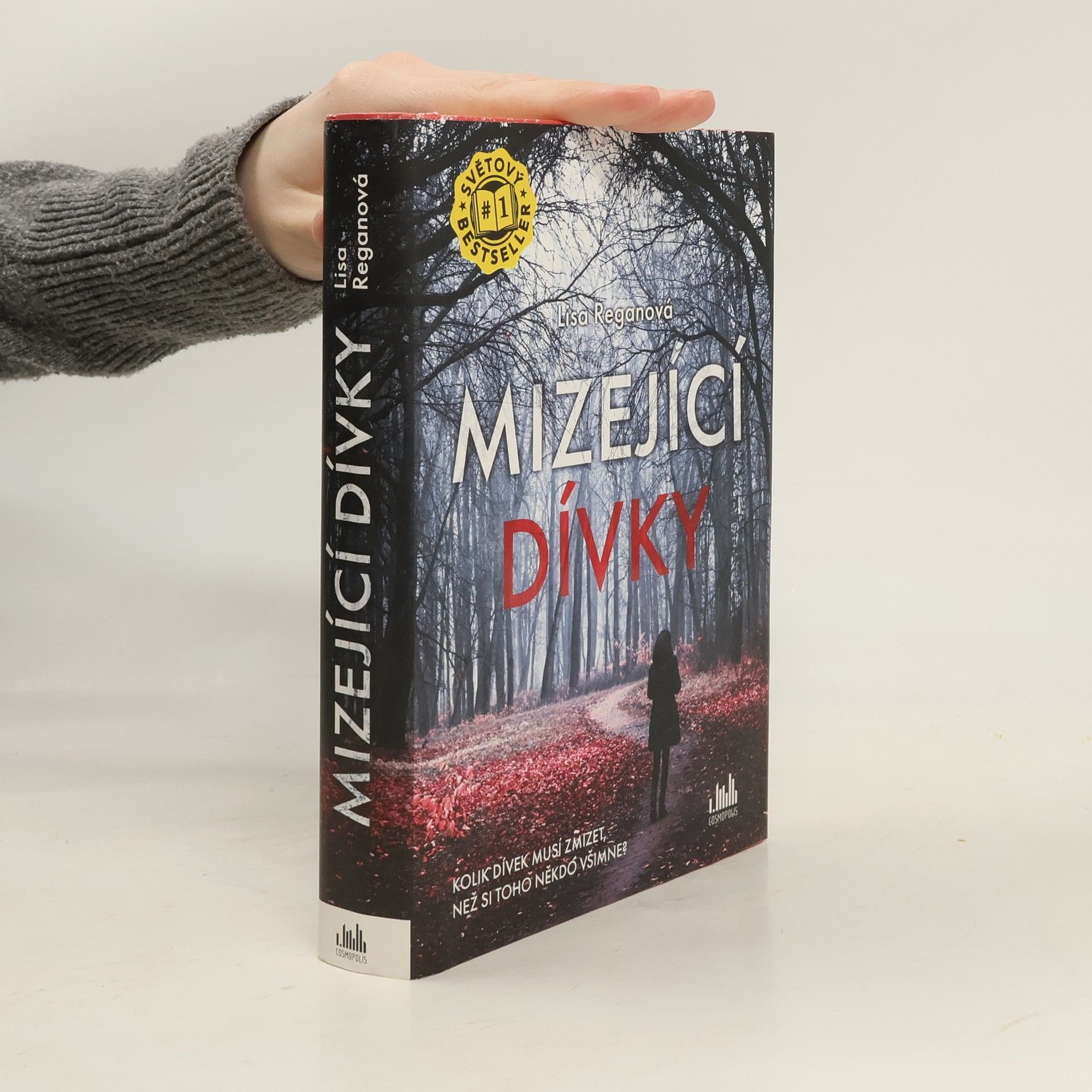 Lisa Regan Mizející dívky