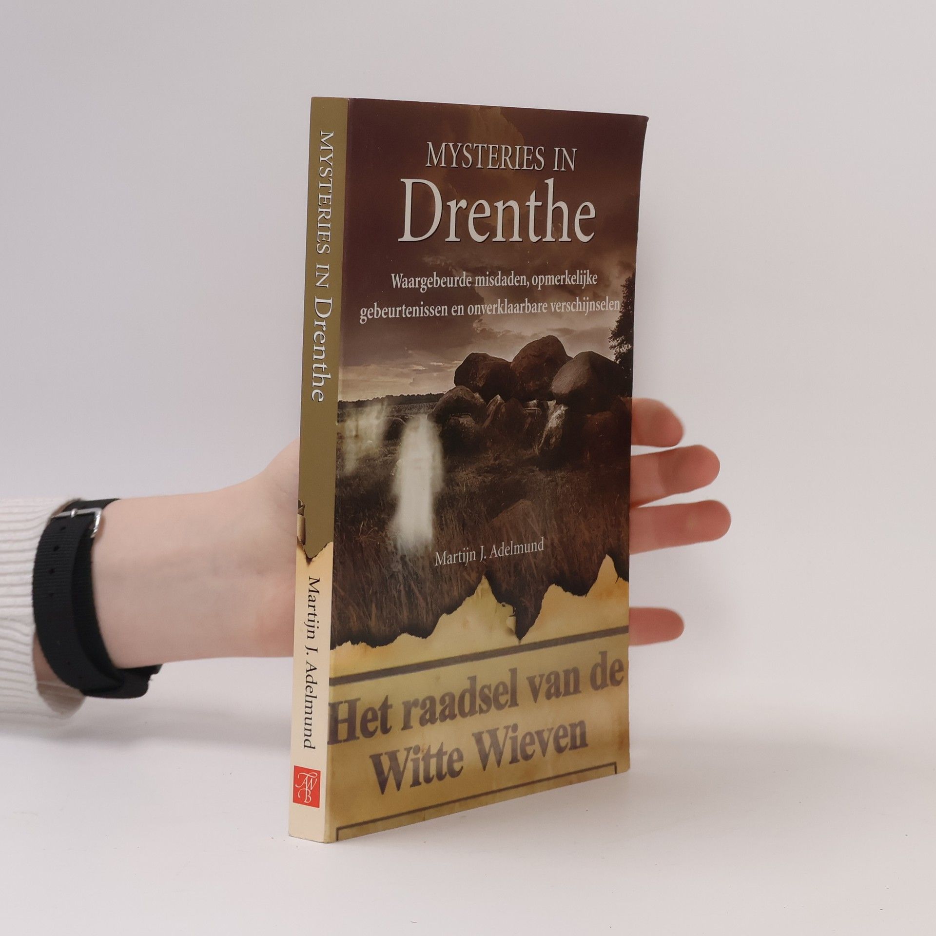 Martijn Jansen Adelmund Mysteries in Drenthe