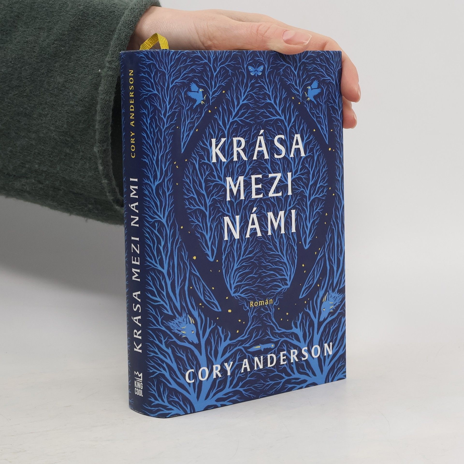 Cory L. Anderson Krása mezi námi