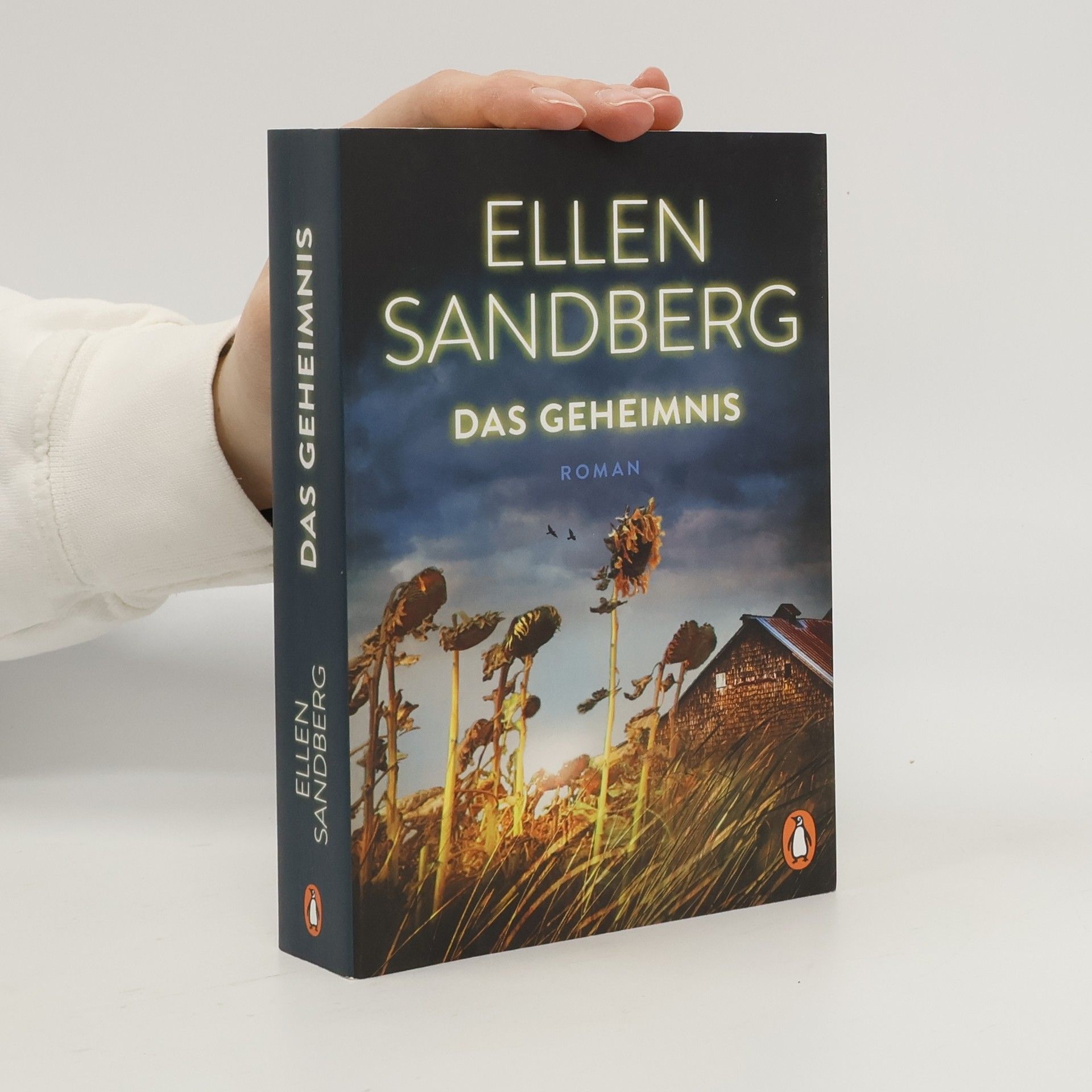 Ellen Sandberg Das Geheimnis