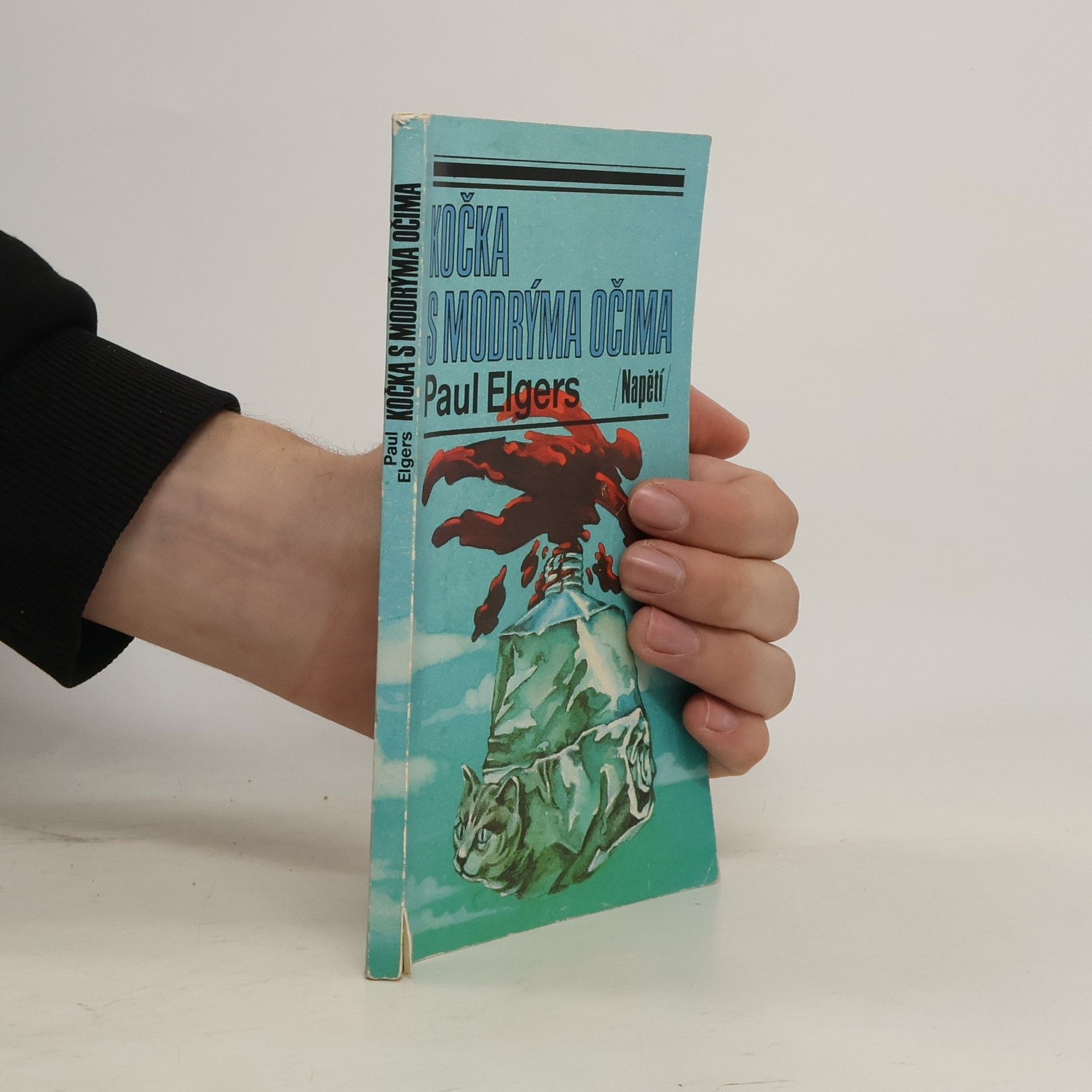 Paul Elgers Kočka s modrýma očima