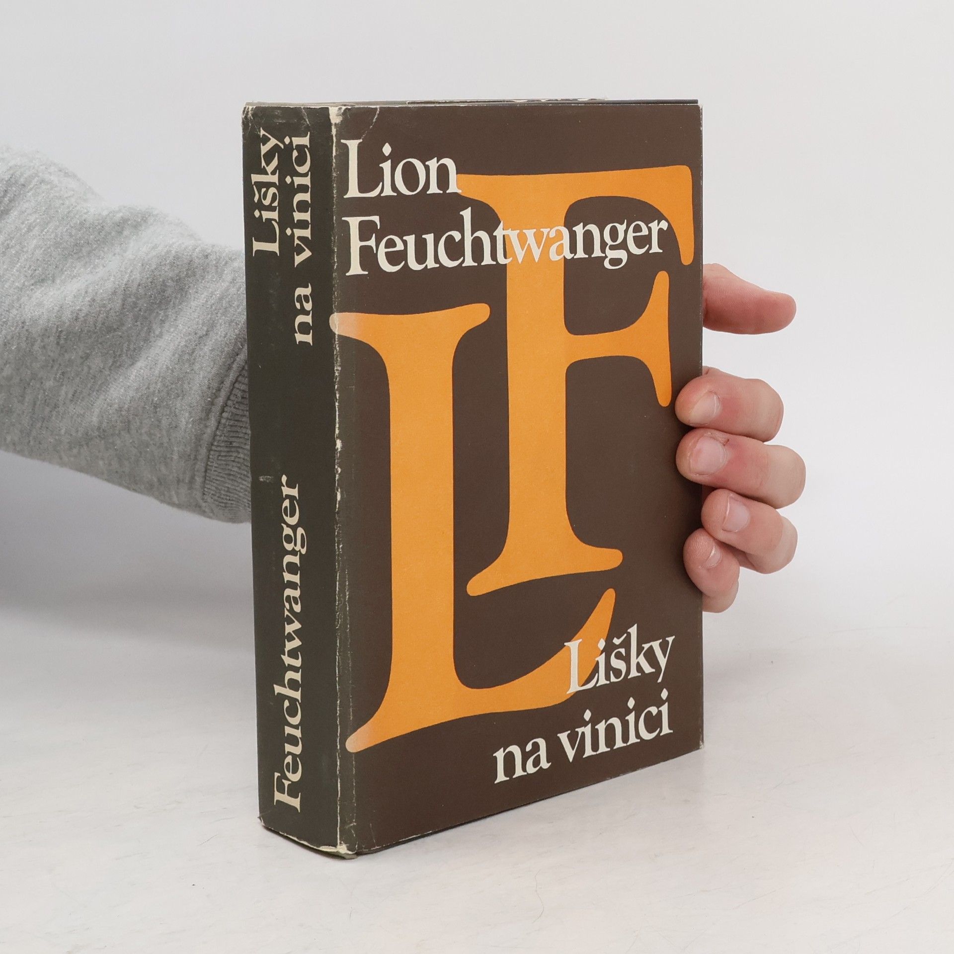 Lion Feuchtwanger Lišky na vinici