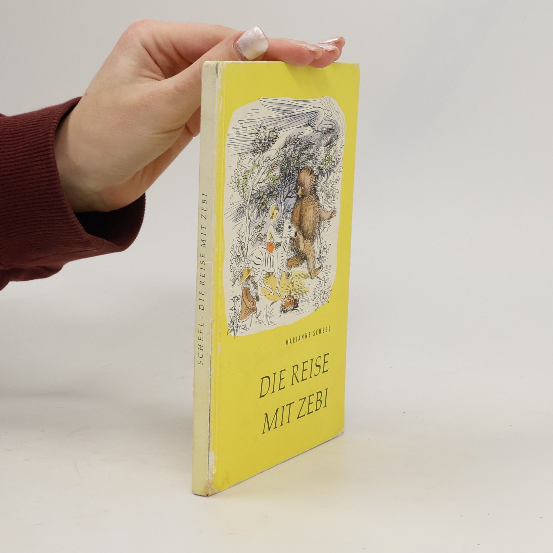 Marianne Scheel Die Reise mit Zebi