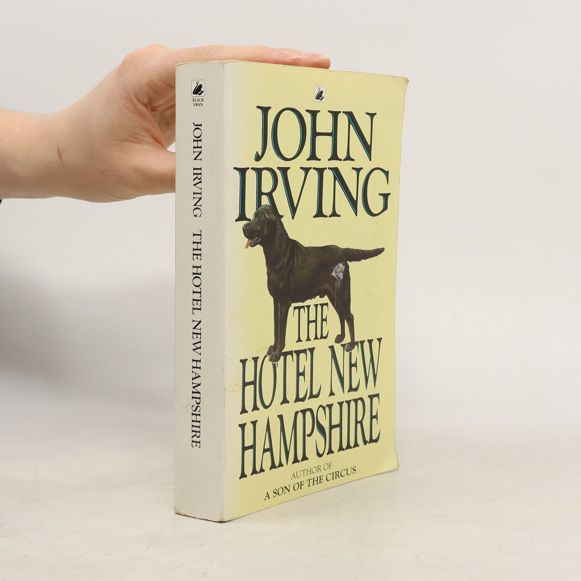 John Irving The Hotel New Hamsphire