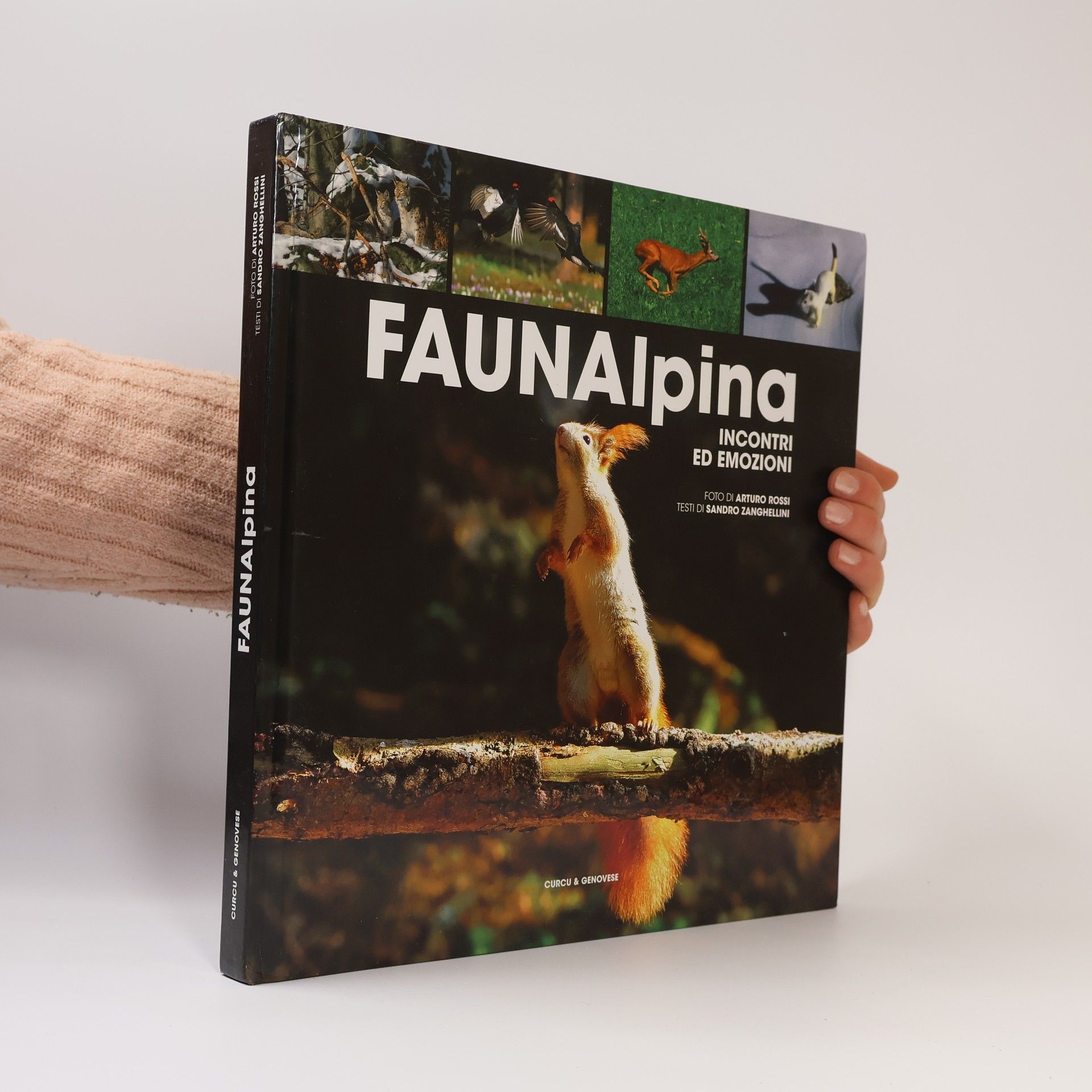 Arturo Rossi Fauna alpina. Incontri ed emozioni