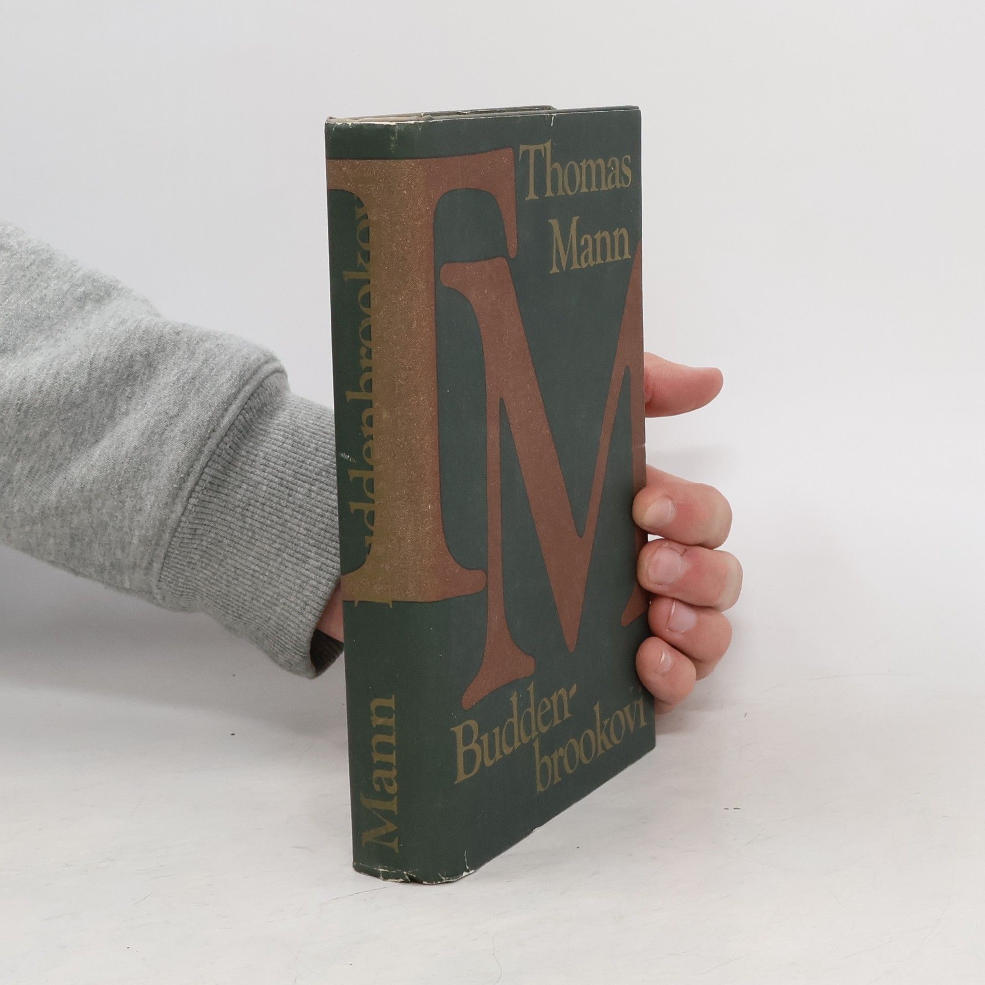 Thomas Mann Buddenbrookovi
