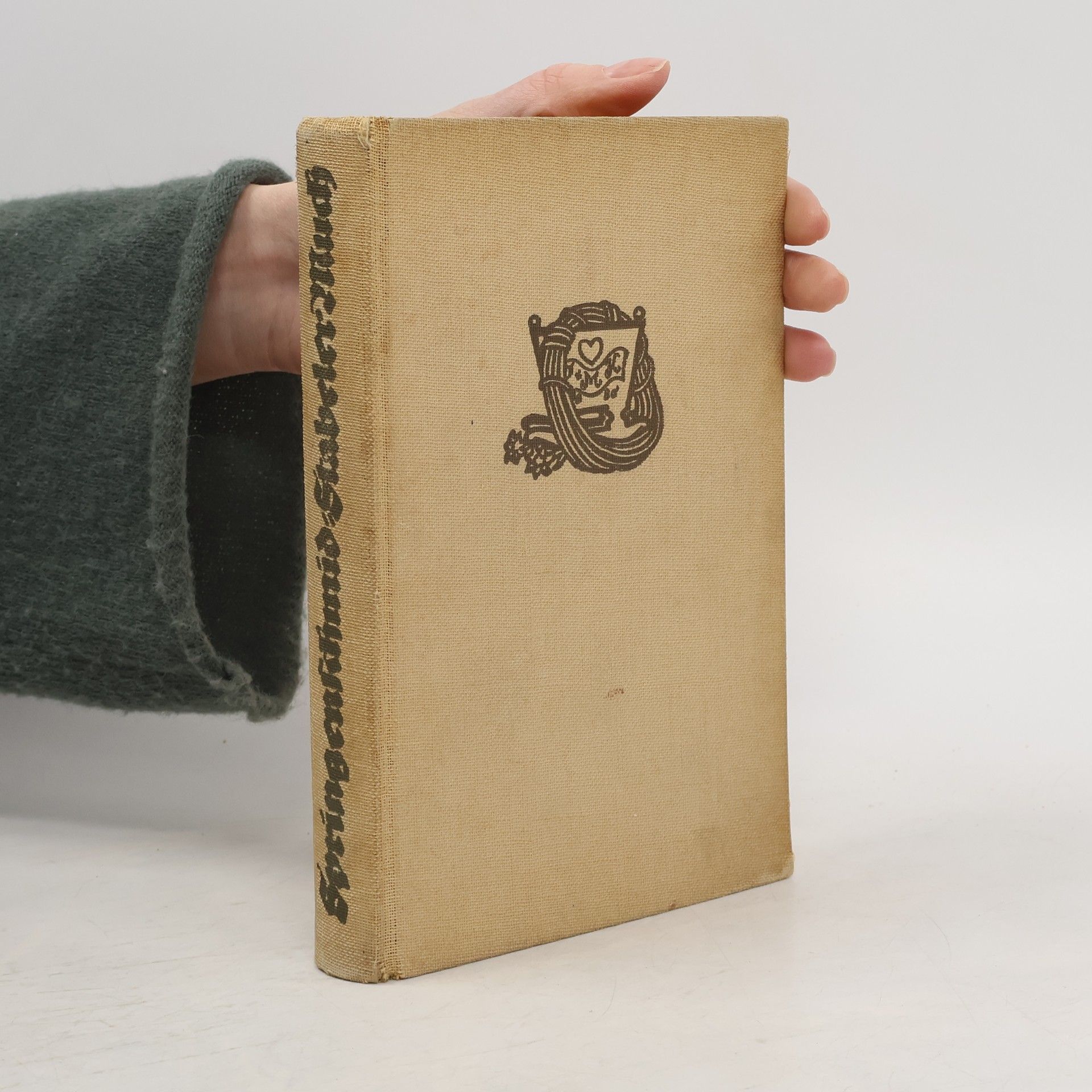 Karl Springenschmid Am Seil vom Stabeler Much