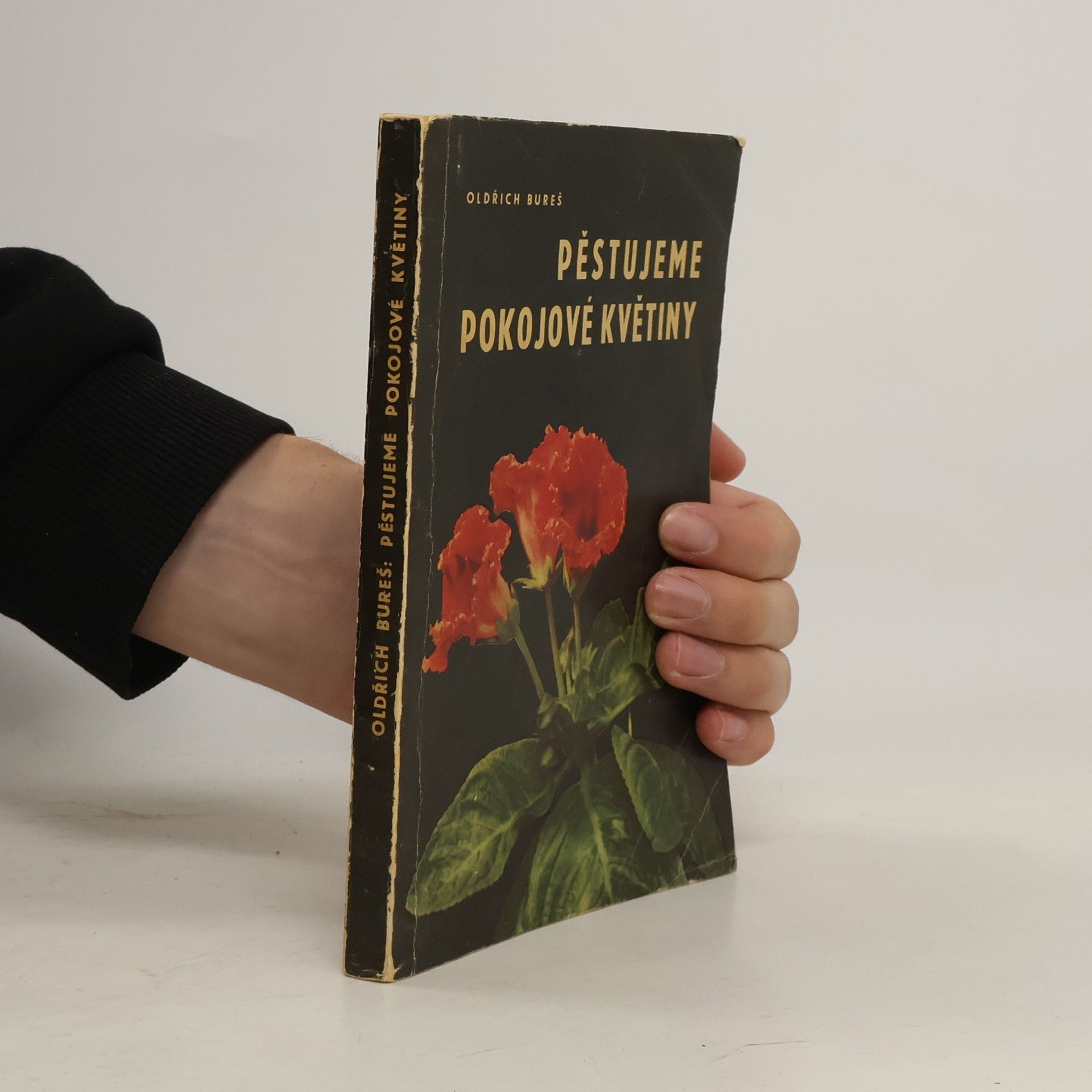 Oldřich Bureš Pěstujeme pokojové květiny