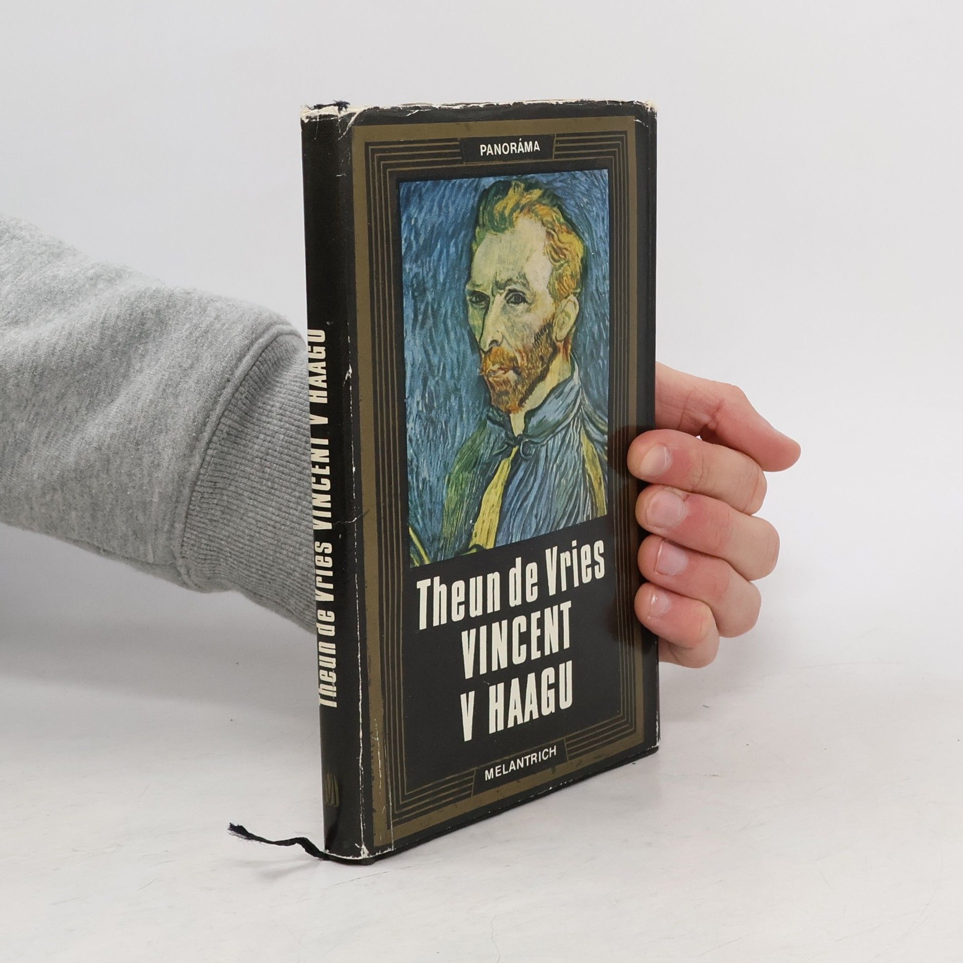 Theun de Vries Vincent v Haagu