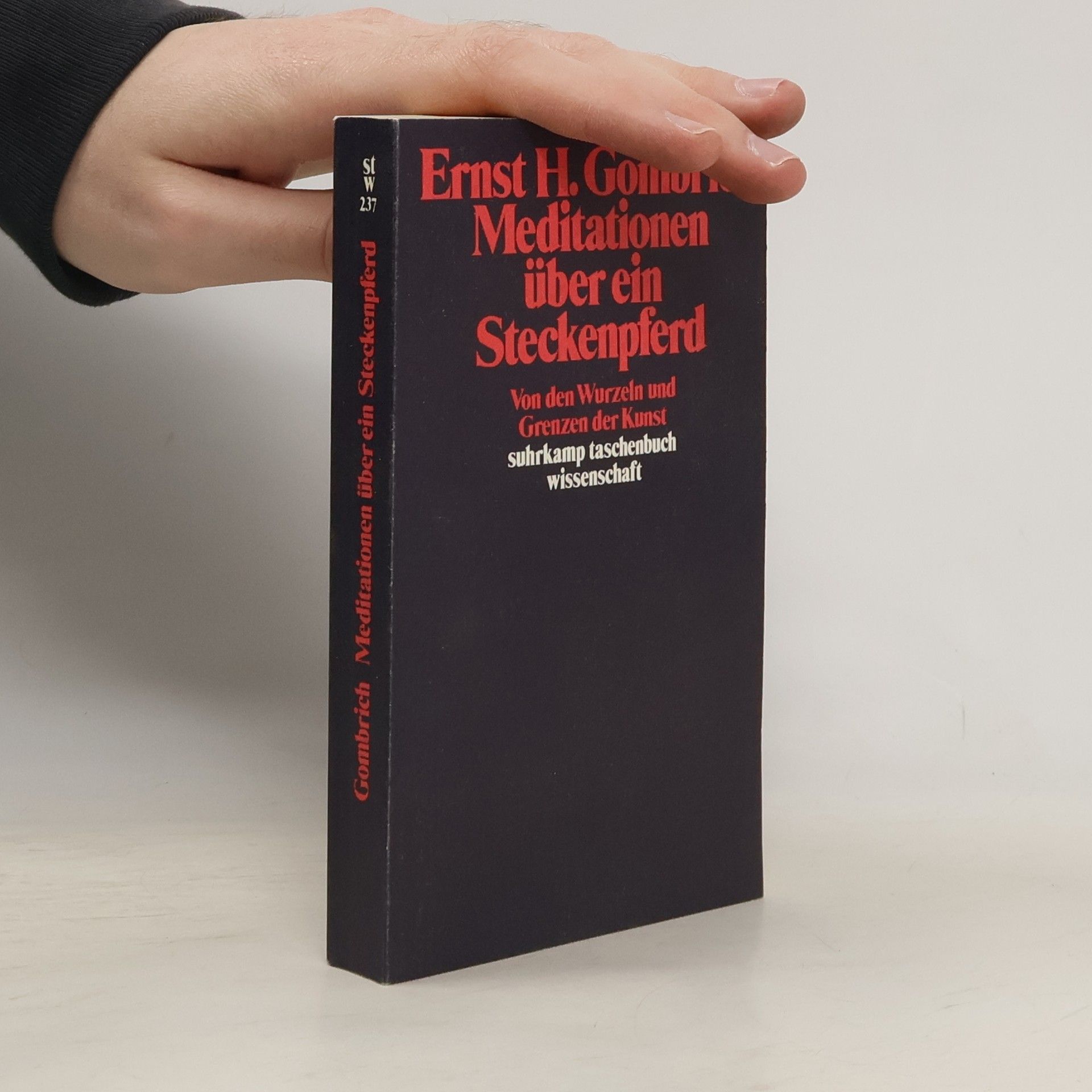 Ernst Gombrich Meditationen über ein Steckenpferd