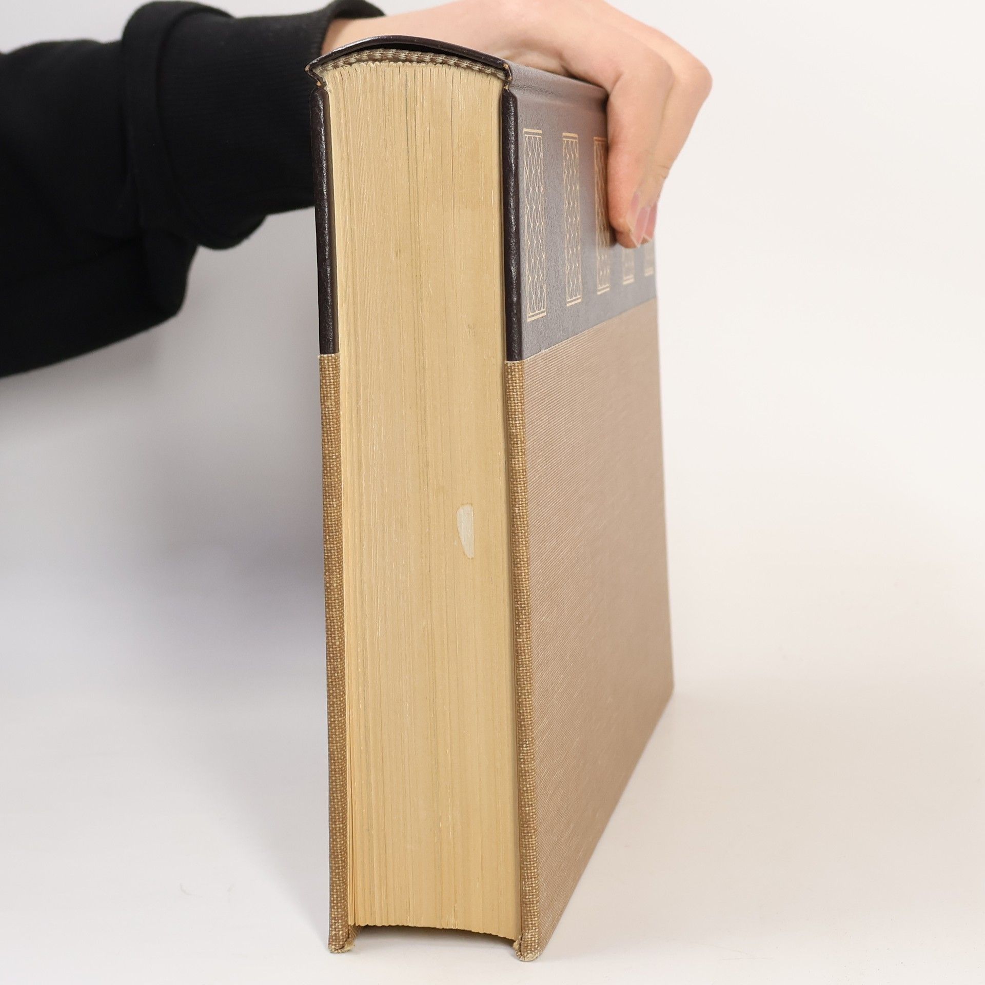 Autorenkollektiv Enciclopedia Universale Larousse VIII.