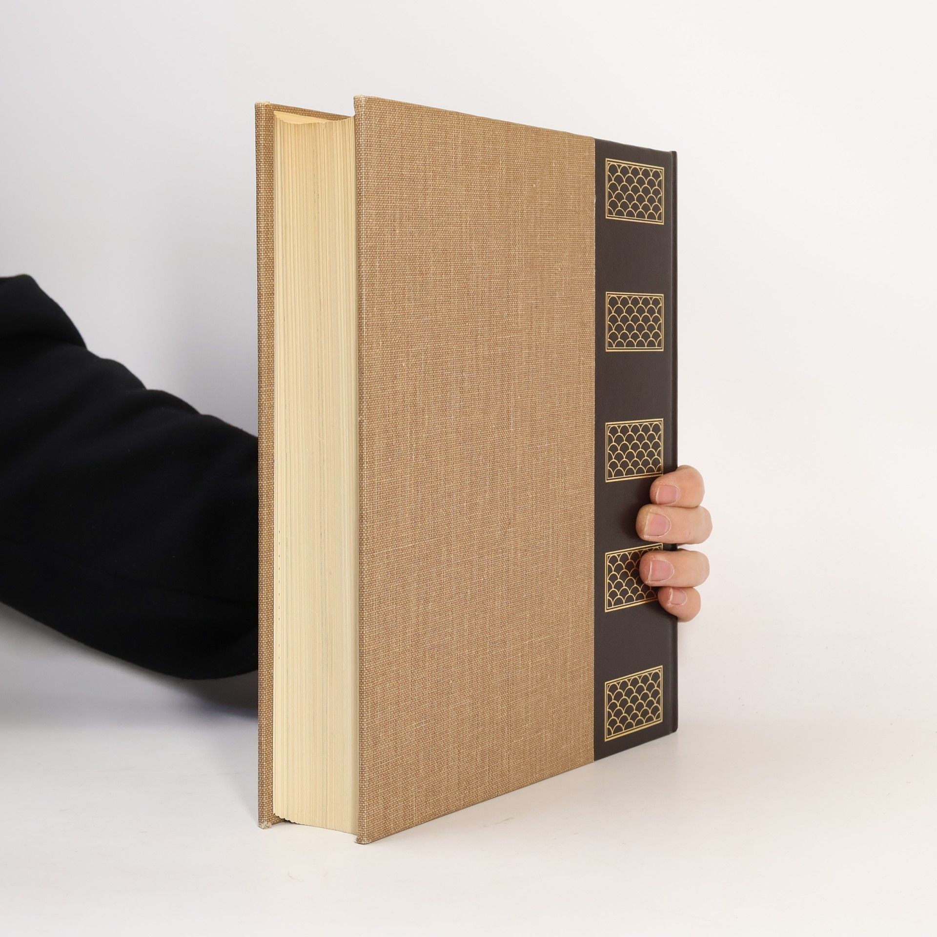 Autorenkollektiv Enciclopedia Universale Larousse VIII.
