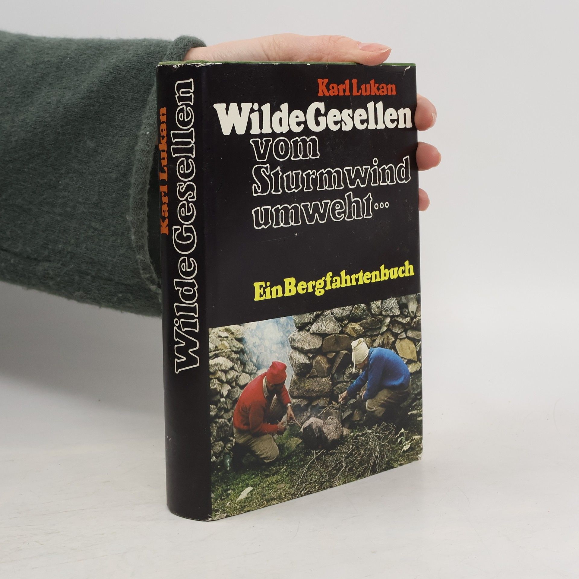 Karl Lukan Wilde Gesellen vom Sturmwind umweht...