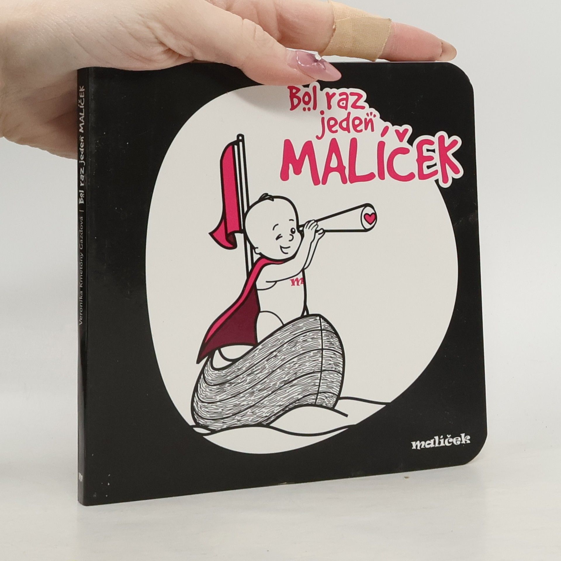 Kolektiv autorů Bol raz jeden malíček