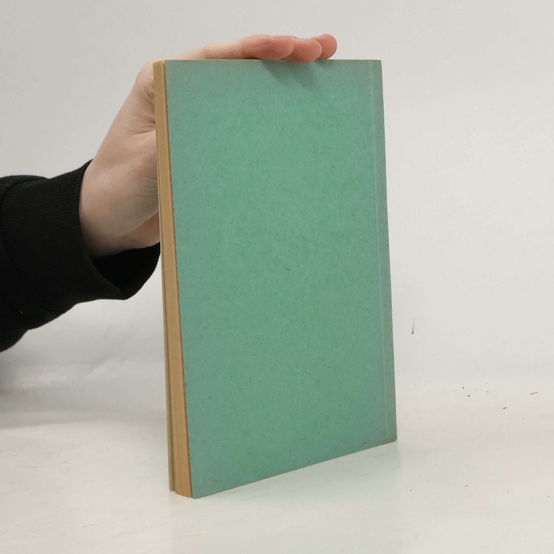 Autorenkollektiv Handreichung zum Gemeinschaftsliederbuch