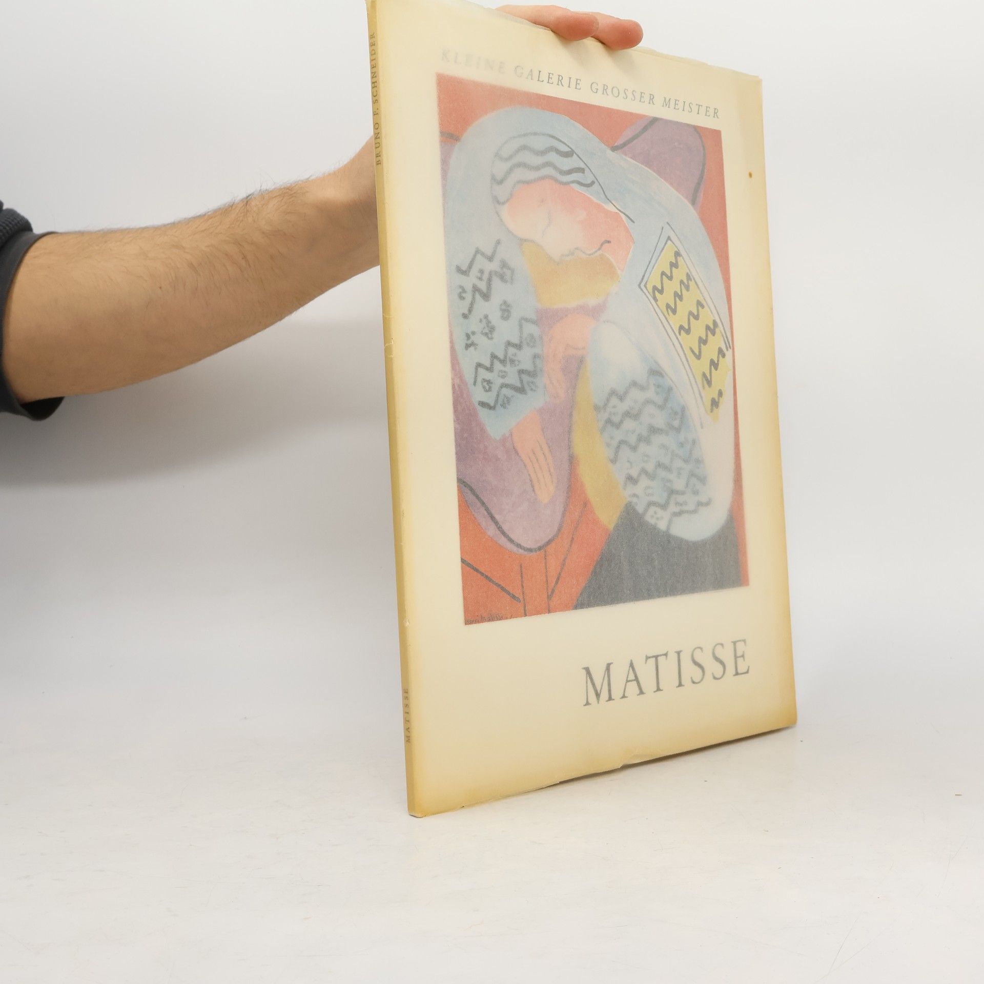 Bruno F. Schneider Matisse