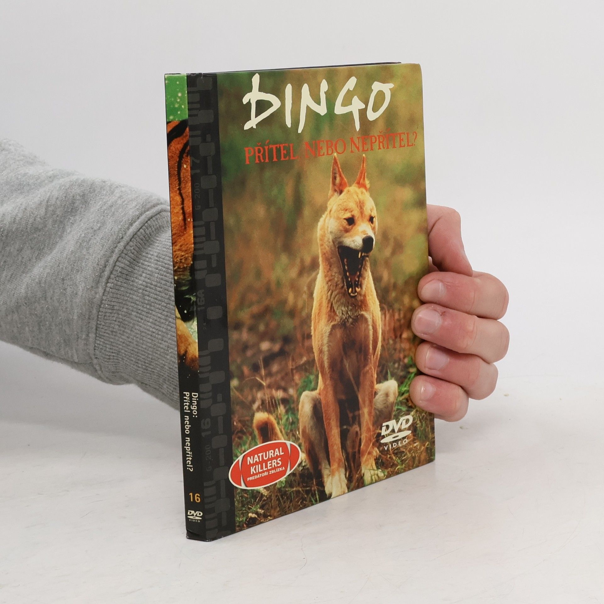 Autorenkollektiv Dingo. Přítel nebo nepřítel?